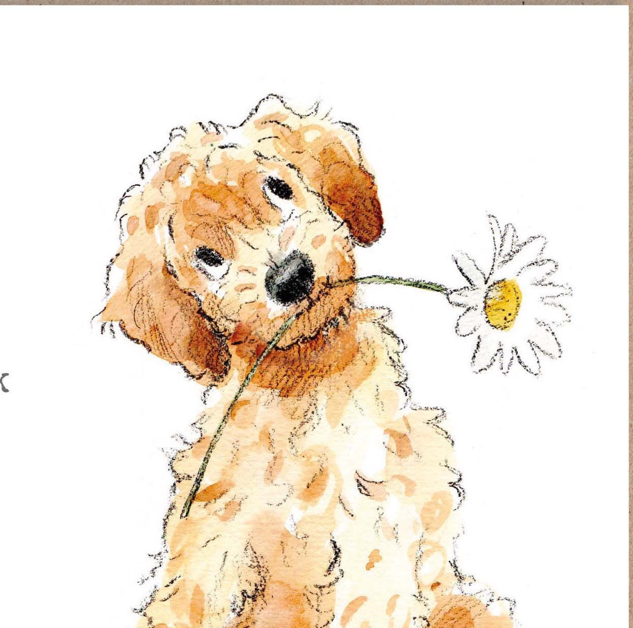 Thank You Card - Quality Greeting Card - Charming Dog illustration - 'Absolutely barking' range -  Cockapoo - Made in UK -  ABE014