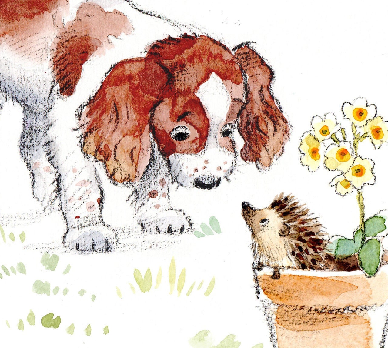 Dog Birthday Card - Quality Greeting Card - Charming illustration - 'Absolutely barking' range - Springer Spaniel- Made in UK -  ABE012