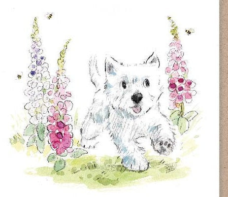 Notecard pack - 5 small quality cards with brown recycled envelopes (125 x 125mm)