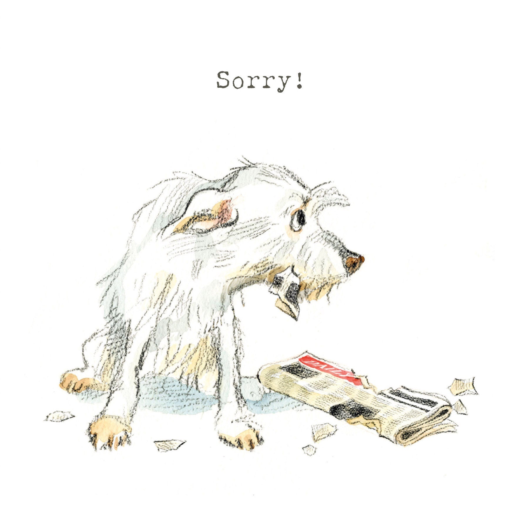 Sorry Card: Charming Hand-Drawn Dog Illustration ABE06