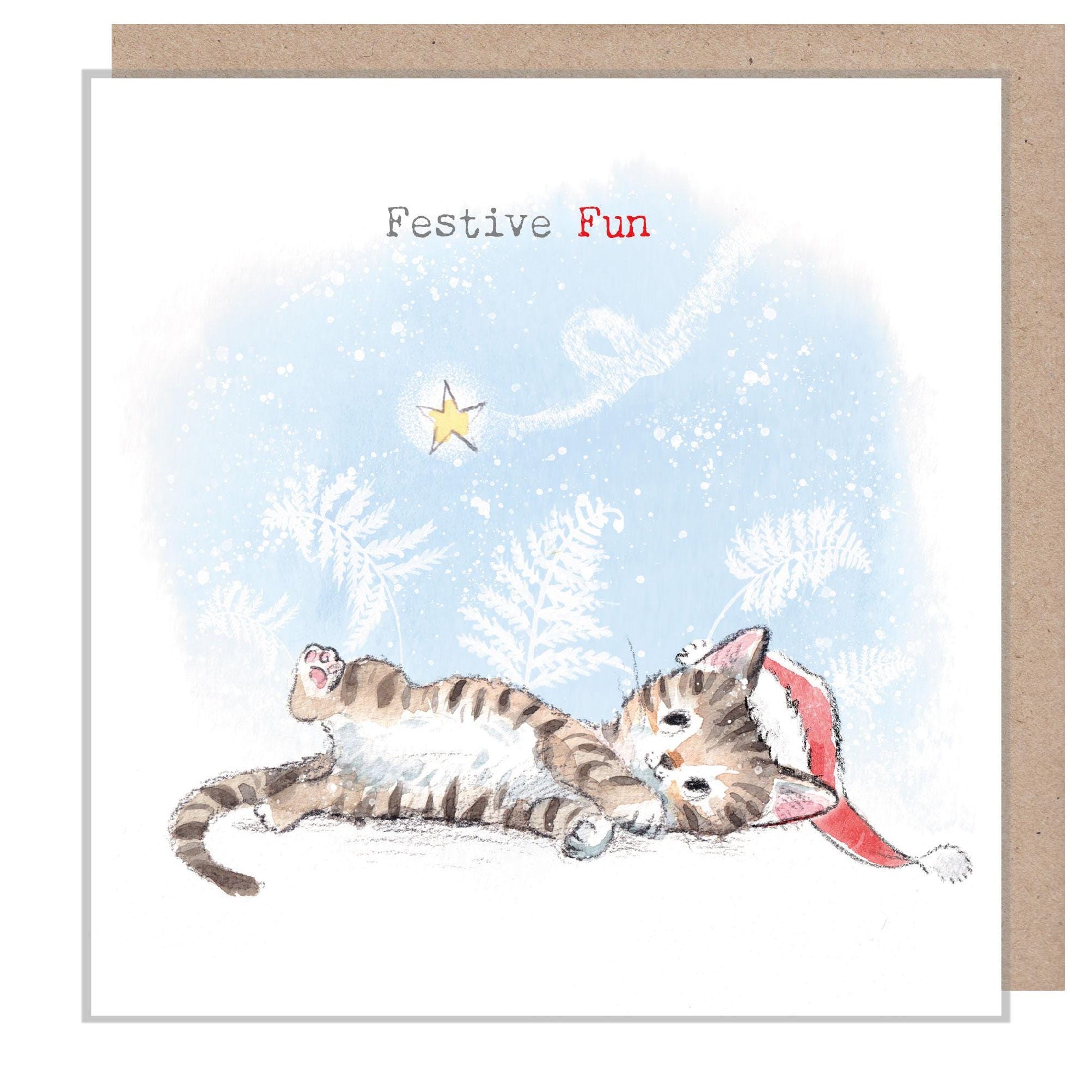 Quality Christmas Card -Festive Fun - Cat illustration 'Pawsitively Purrect' range - Cat looking at shooting star - Made in UK -XPP015