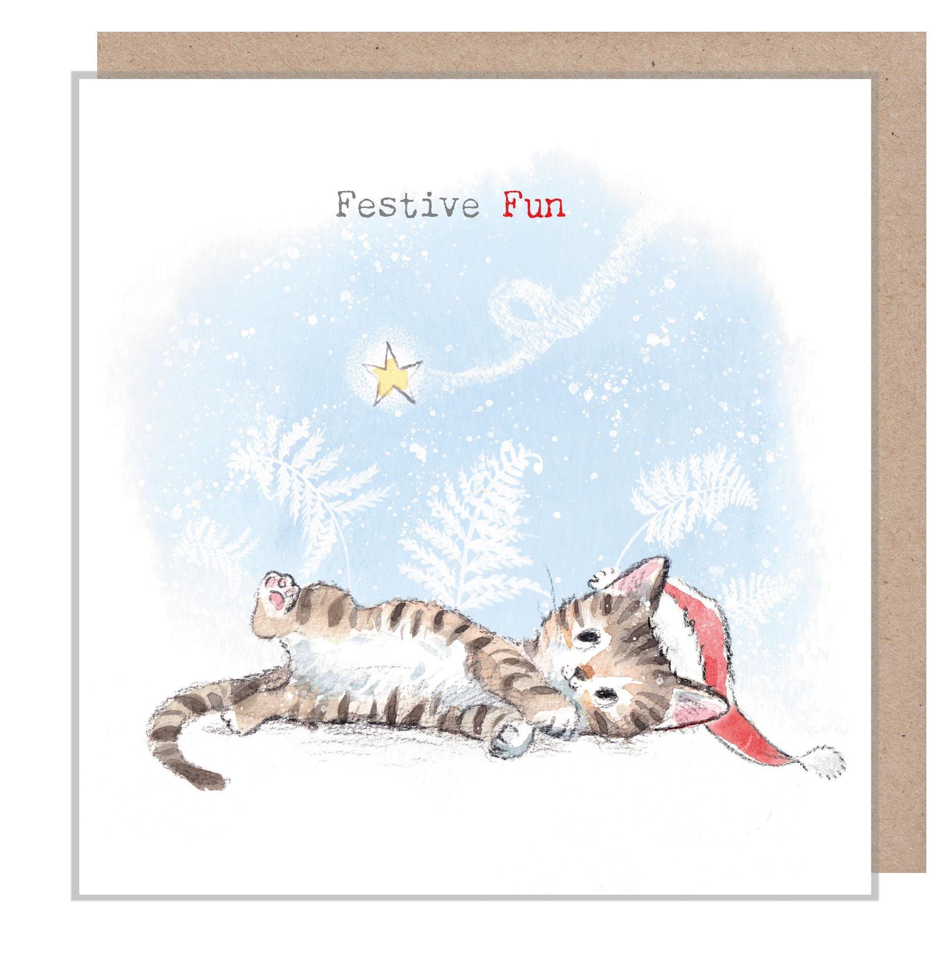 Quality Christmas Card -Festive Fun - Cat illustration 'Pawsitively Purrect' range - Cat looking at shooting star - Made in UK -XPP015