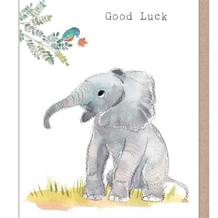 Good luck - Charming  Elephant illustration - 'Wonderfully Wild'  range - Made in UK -  WWE024