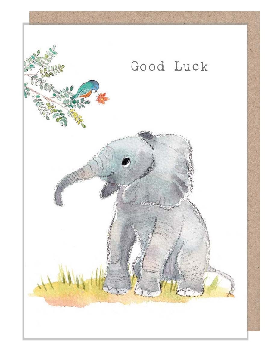 Good luck - Charming  Elephant illustration - 'Wonderfully Wild'  range - Made in UK -  WWE024