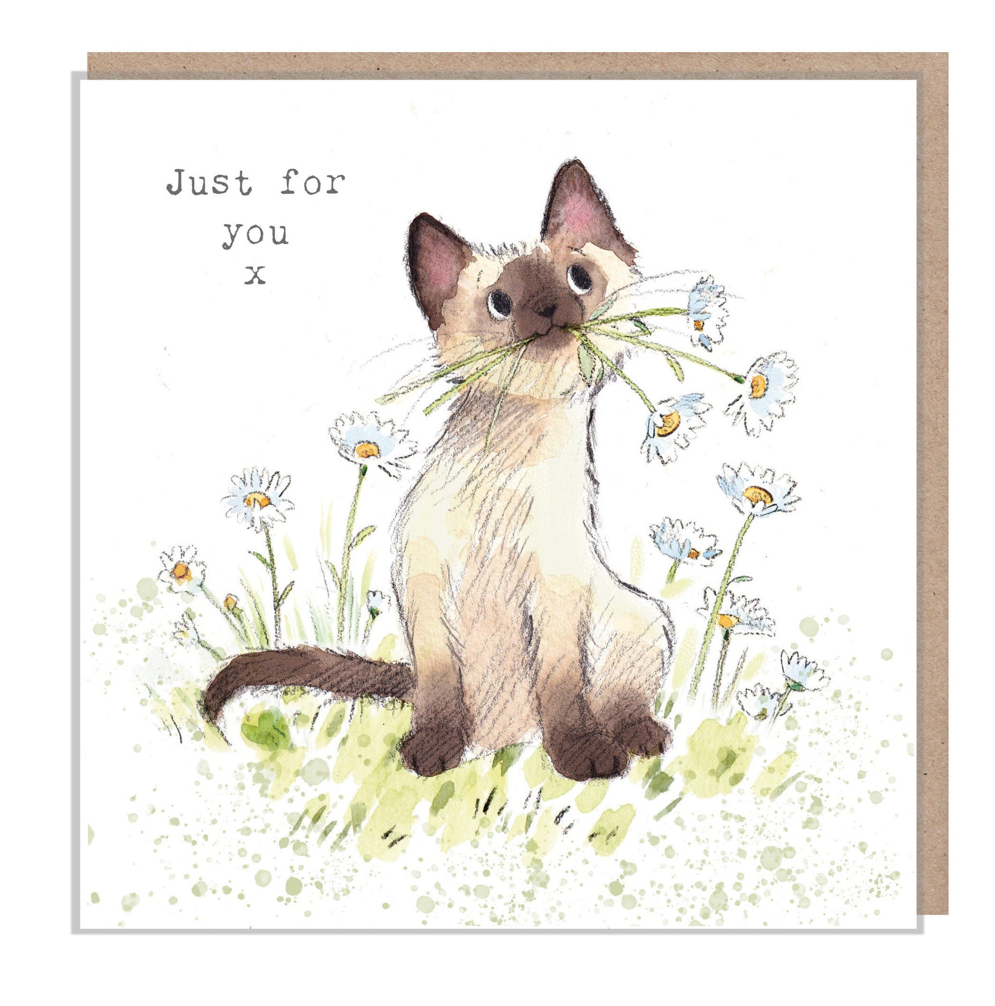 Cat Card - Just for you -Quality Greeting Card - Charming illustration - 'Pawsitively Purrect' range - Cat with Daisies - Made in UK - EPP03