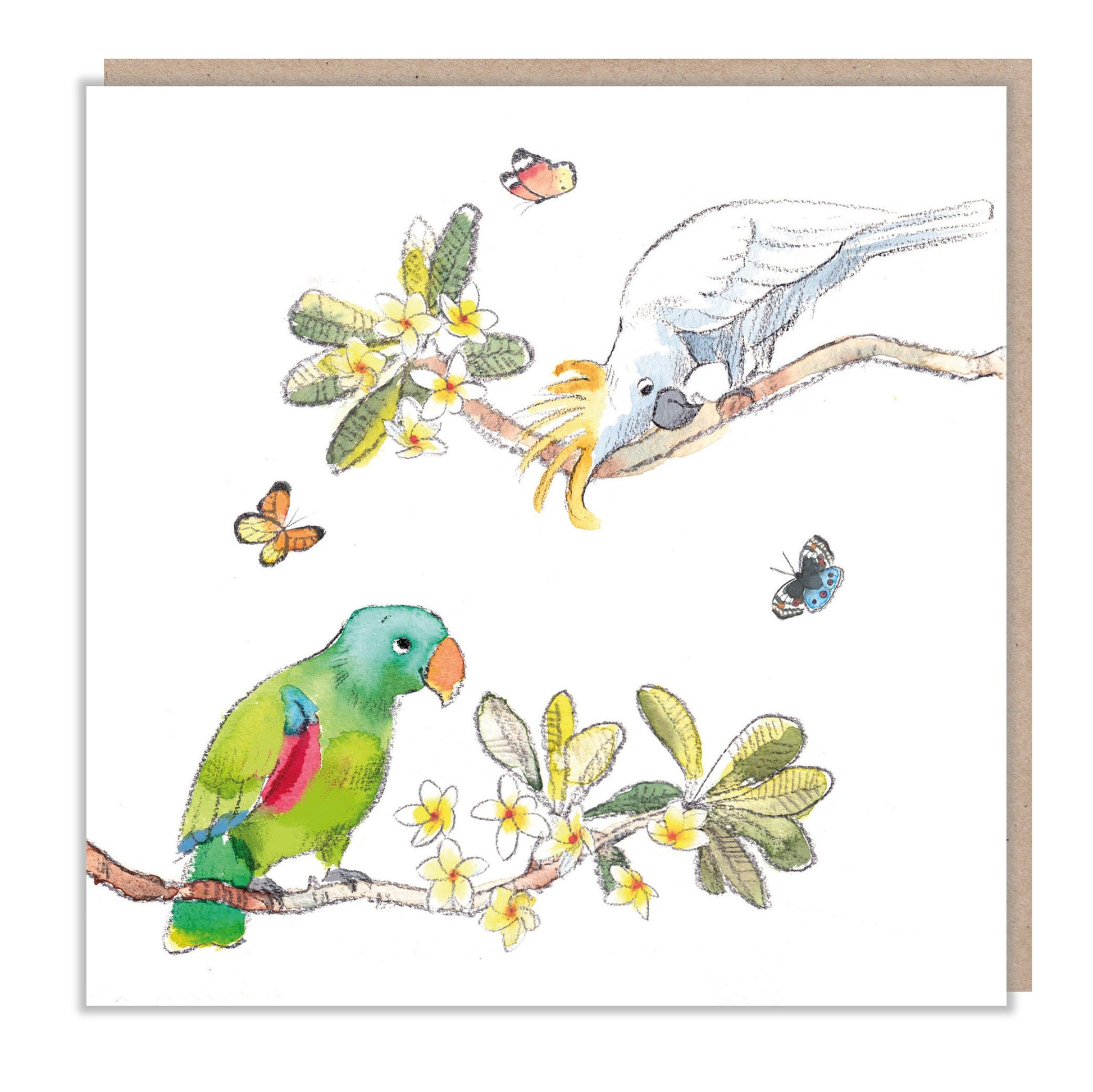 Blank Greeting Card - Charming illustration - parrots with Butterflies - 'Wonderfully Wild'  range - Made in UK -  WWE014
