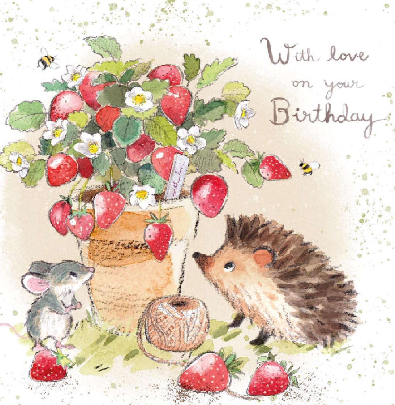 Birthday Card - Quality Card - Charming illustration - Hedgehog in with Strawberry Pot- 'Morris and Maude' range - Made in UK -  MME03