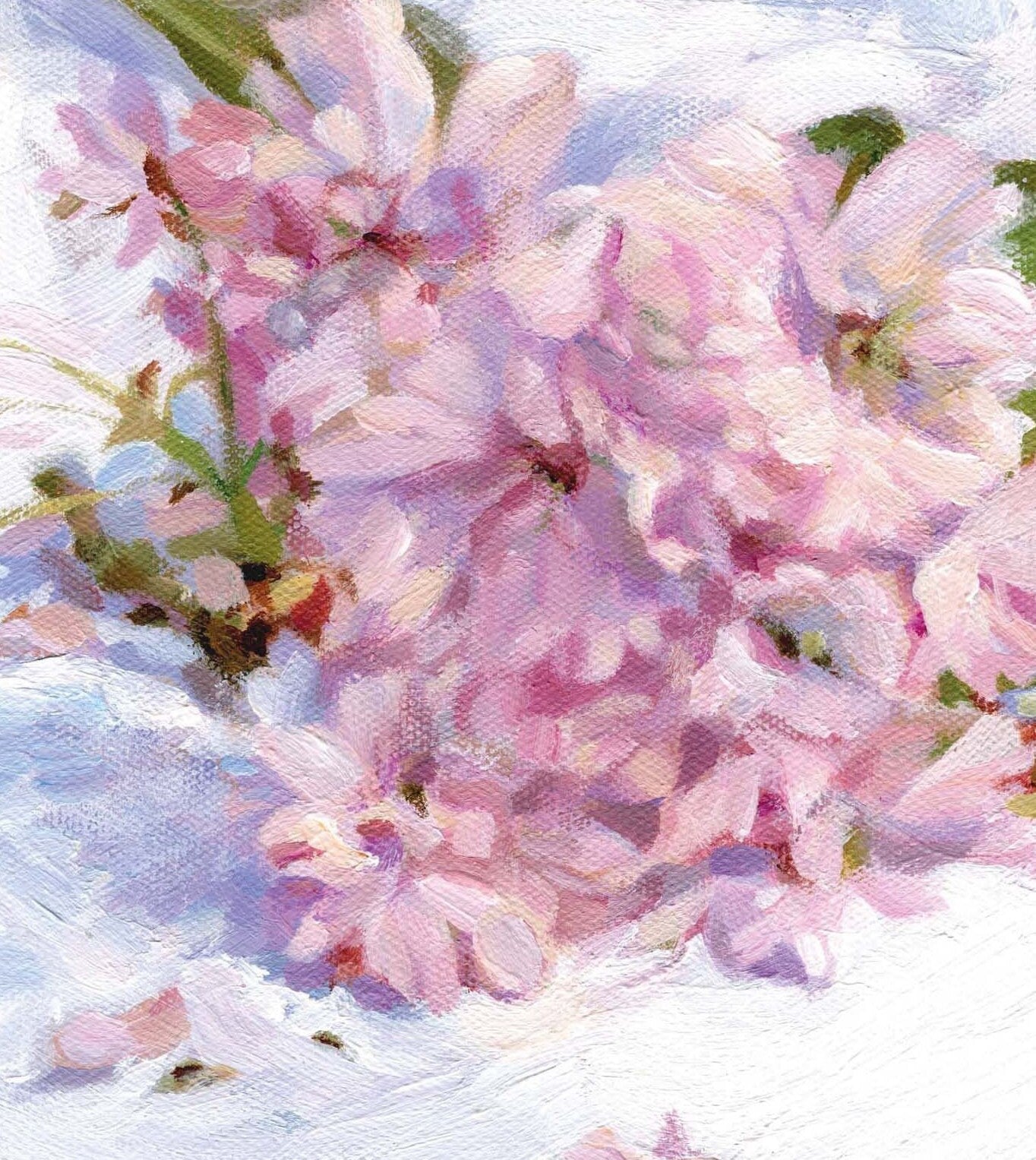 Cherry Blossom - Greeting Card, 'The Flower Gallery' range, Paper Shed Design, Art Card, Original Painting by Dan O'Brien, Blank inside