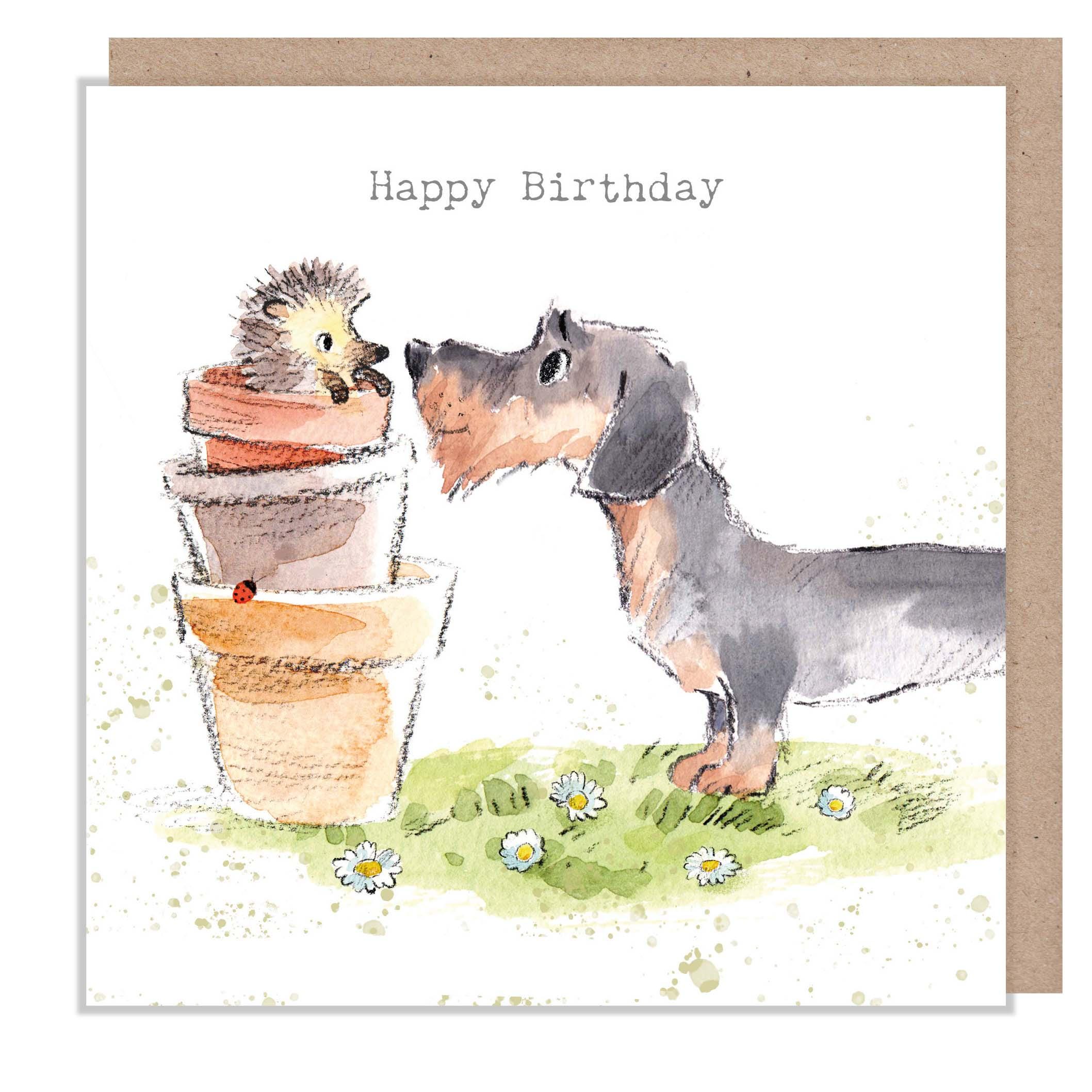 Birthday Card - Quality Greeting Card - Charming Dog illustration - 'Absolutely barking' range - Dachshund and Hedgehog -Made in UK - ABE102