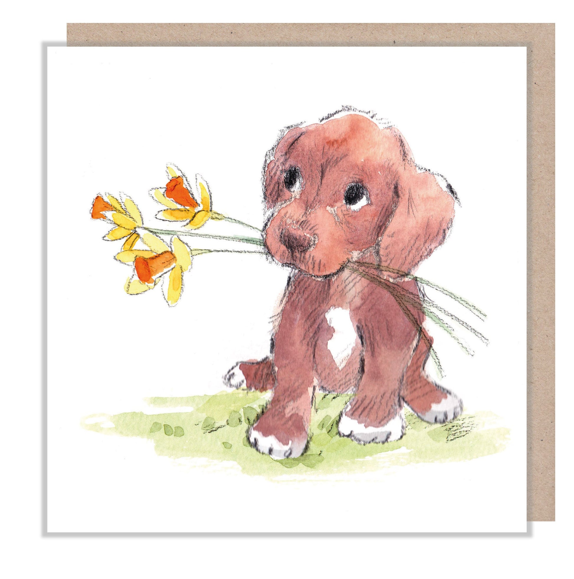 Blank Card - Quality Greeting Card - Charming Dog illustration - 'Absolutely barking' range - Chocolate Puppy - Made in UK -  ABE068