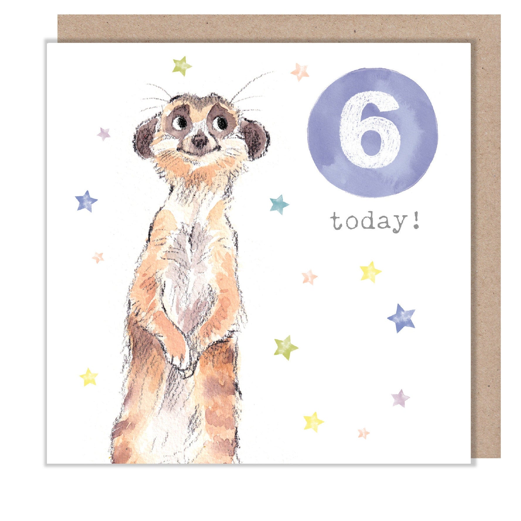 AGE 6 Birthday Card -  Charming illustration - Meerkat,  'Party Time'  range - Made in UK -  PTAGE06