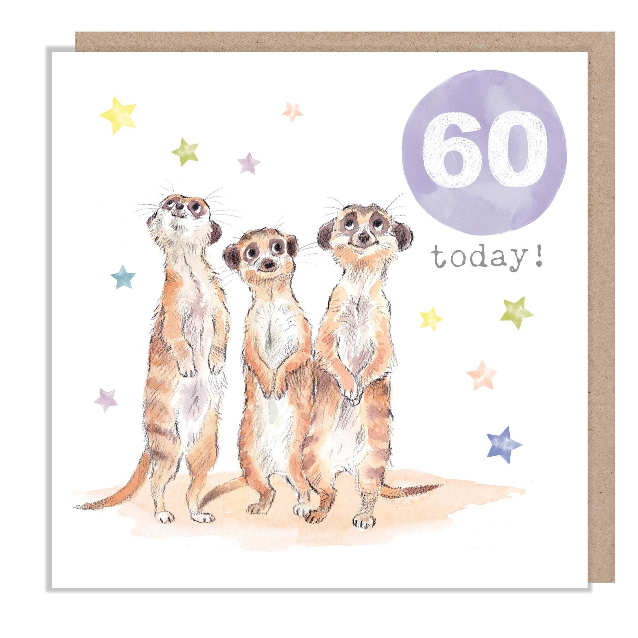 AGE 60 Birthday Card -  Charming illustration - Meerkats  'Party Time'  range - Made in UK -  PTAGE060