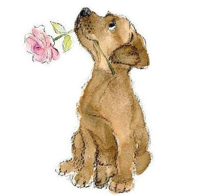 Notecard pack - 5 small quality cards with brown recycled envelopes (125 x 125mm)