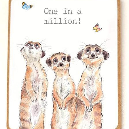 Quality Fridge Magnet - One in a Million - Meerkats design - MDF-  Made in the UK - FM08