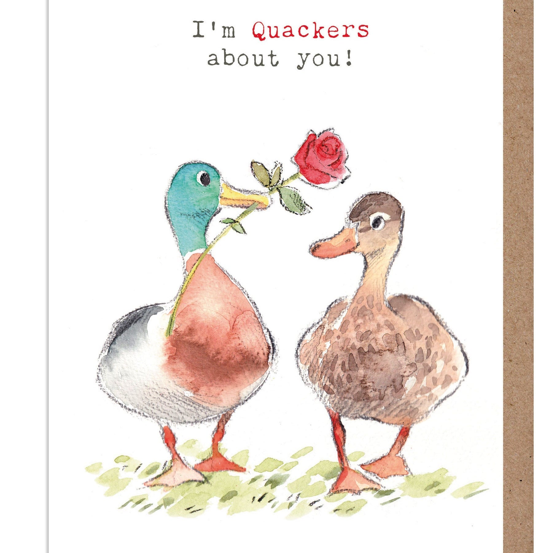 Quackers about you - Quality greeting Card - Mallard illustration - 'Down by the river' range - made in UK  - RIVVAL01