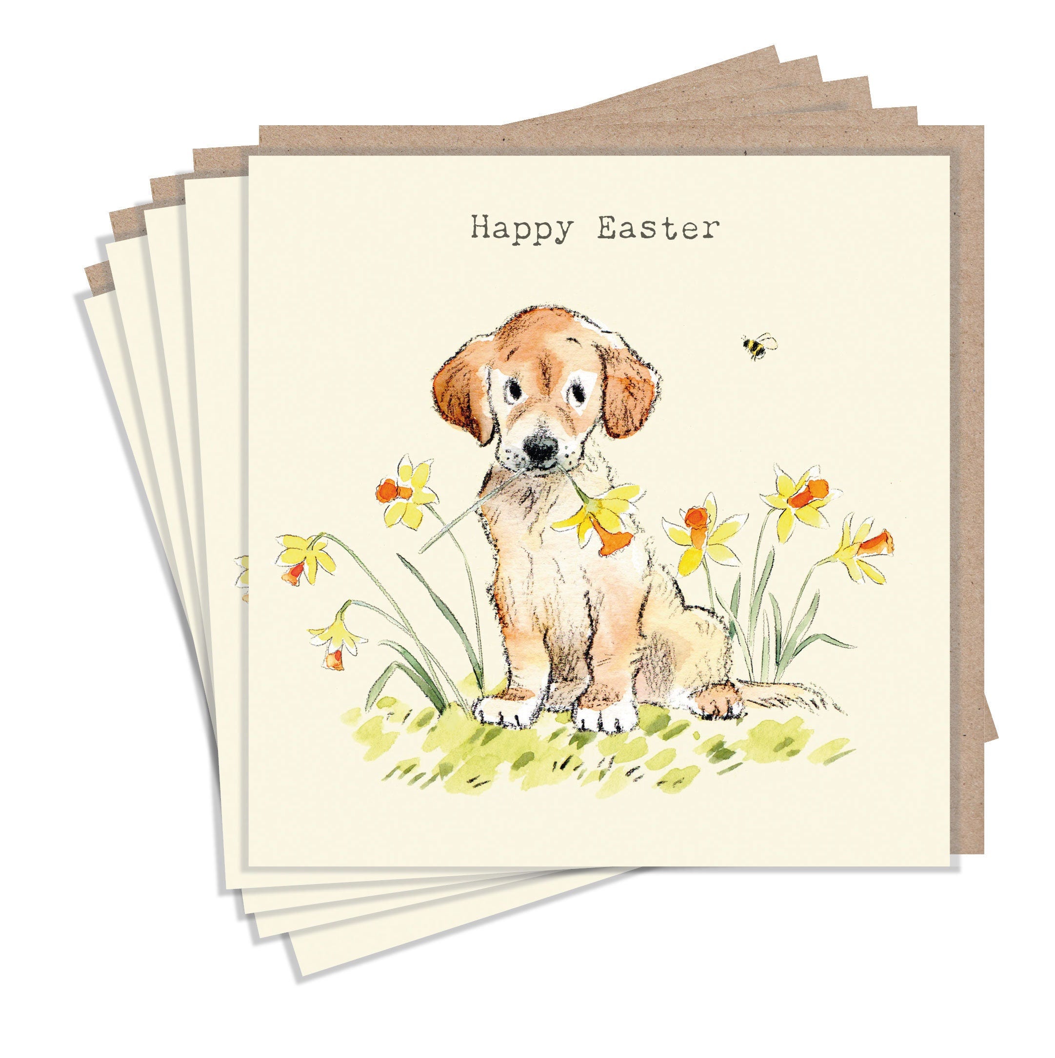 Easter pack - 5 small quality cards with brown recycled envelopes (125 ...
