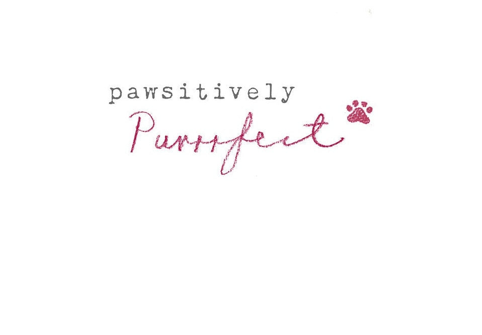 Tabby Cat Christmas Card: 'Pawsitively Purrfect' Holiday Greeting