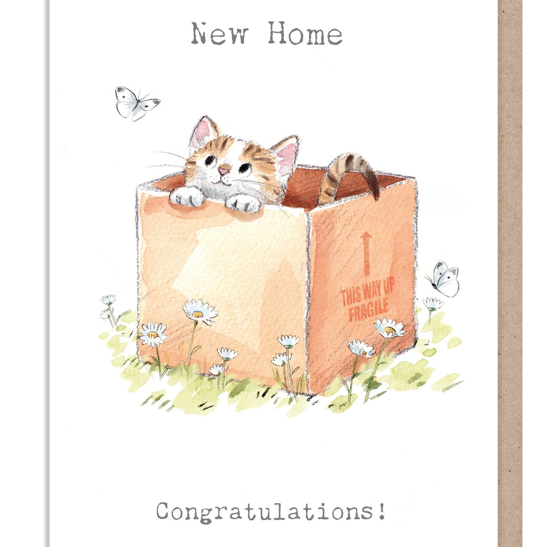 New home Card  - Cute Kitten Illustration - EPP025