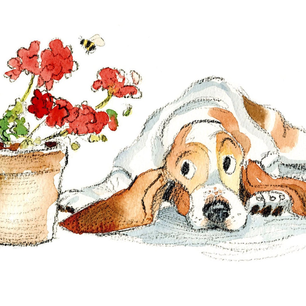 Dog Thinking of you Card - Quality Greeting Card - Charming illustration - 'Absolutely barking' range - Basset hound - Made in UK -  ABE02