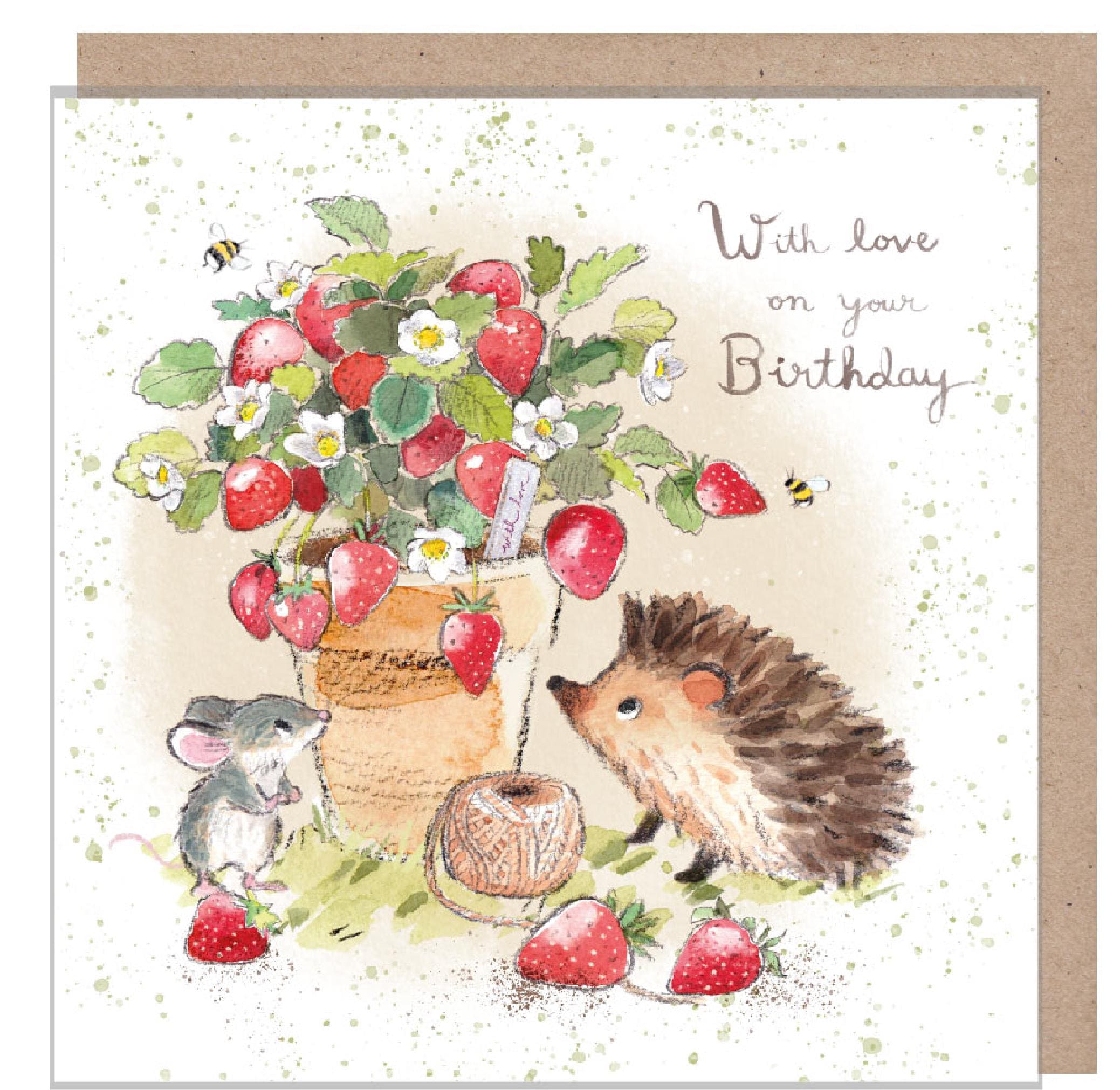 Birthday Card - Quality Card - Charming illustration - Hedgehog in with Strawberry Pot- 'Morris and Maude' range - Made in UK -  MME03