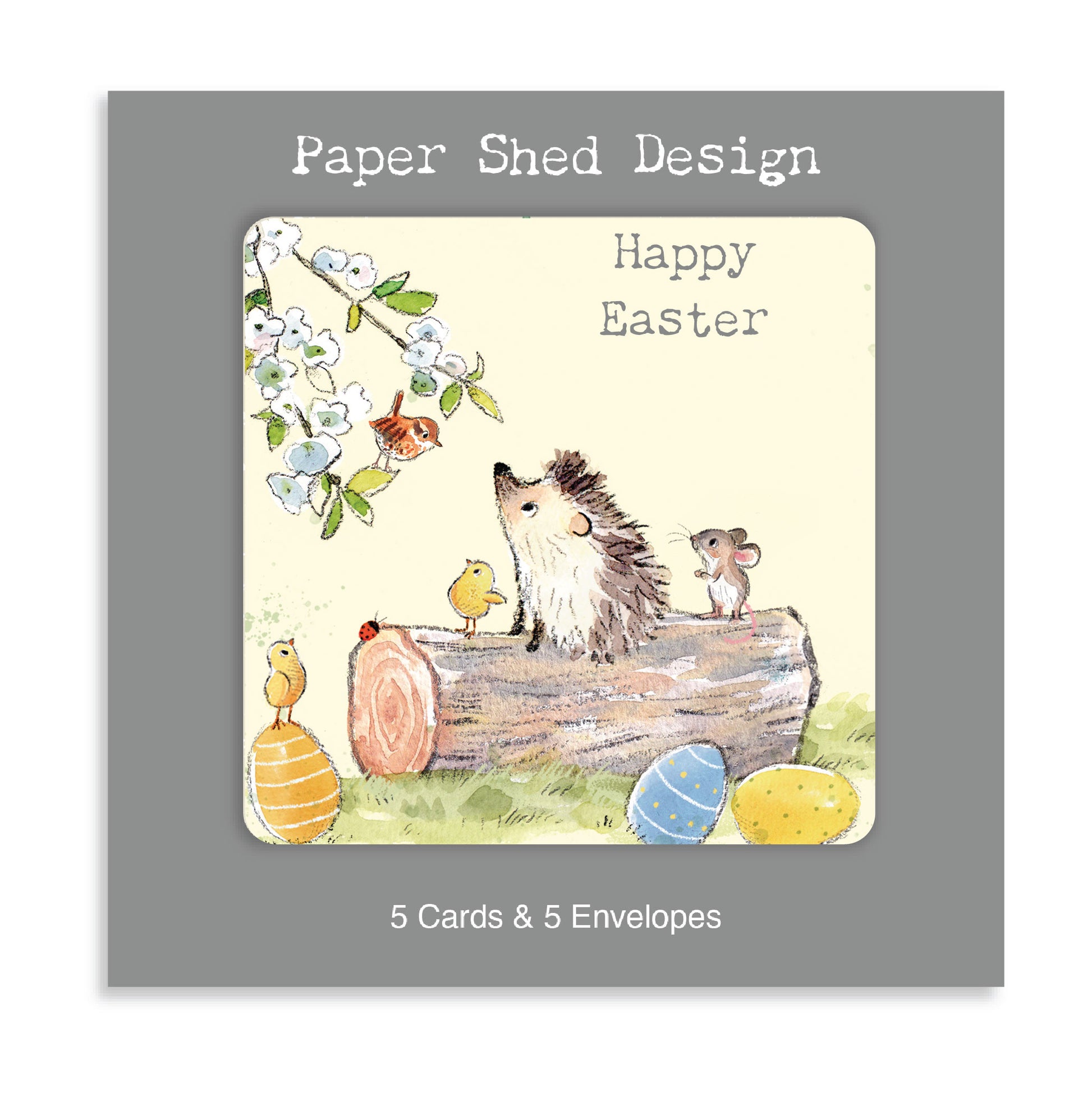 Easter pack - 5 small quality cards with brown recycled envelopes (125 x 125mm) Hedgehog on log -EASTERPACK05