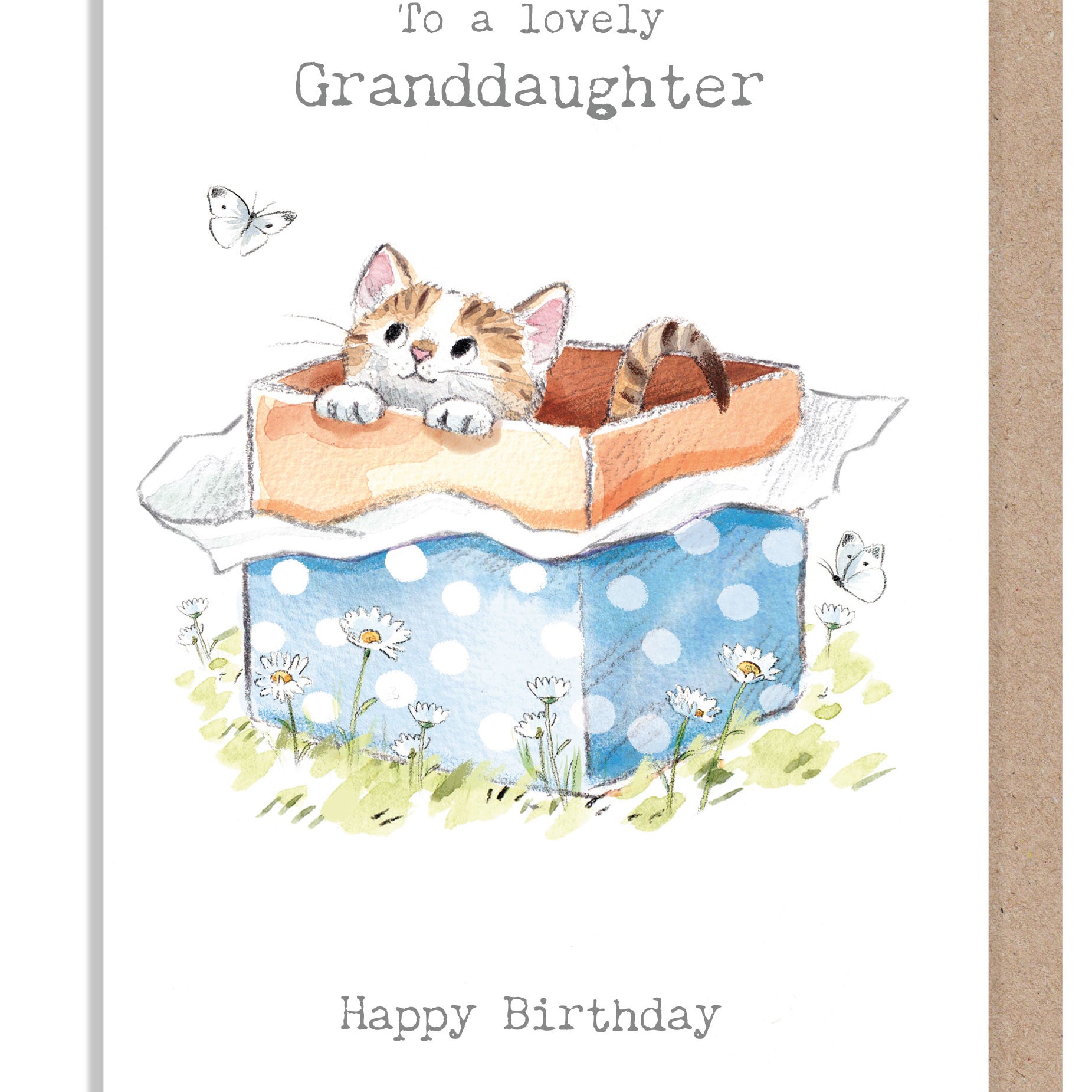 Granddaughter Birthday Card -  Charming illustration -'Pawsitively Purrect' range. Kitten in gift box- Made in UK - EPP029