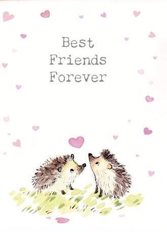 Quality Fridge Magnet - Best Friends - Hedgehog design - MDF-  Made in the UK - FM03