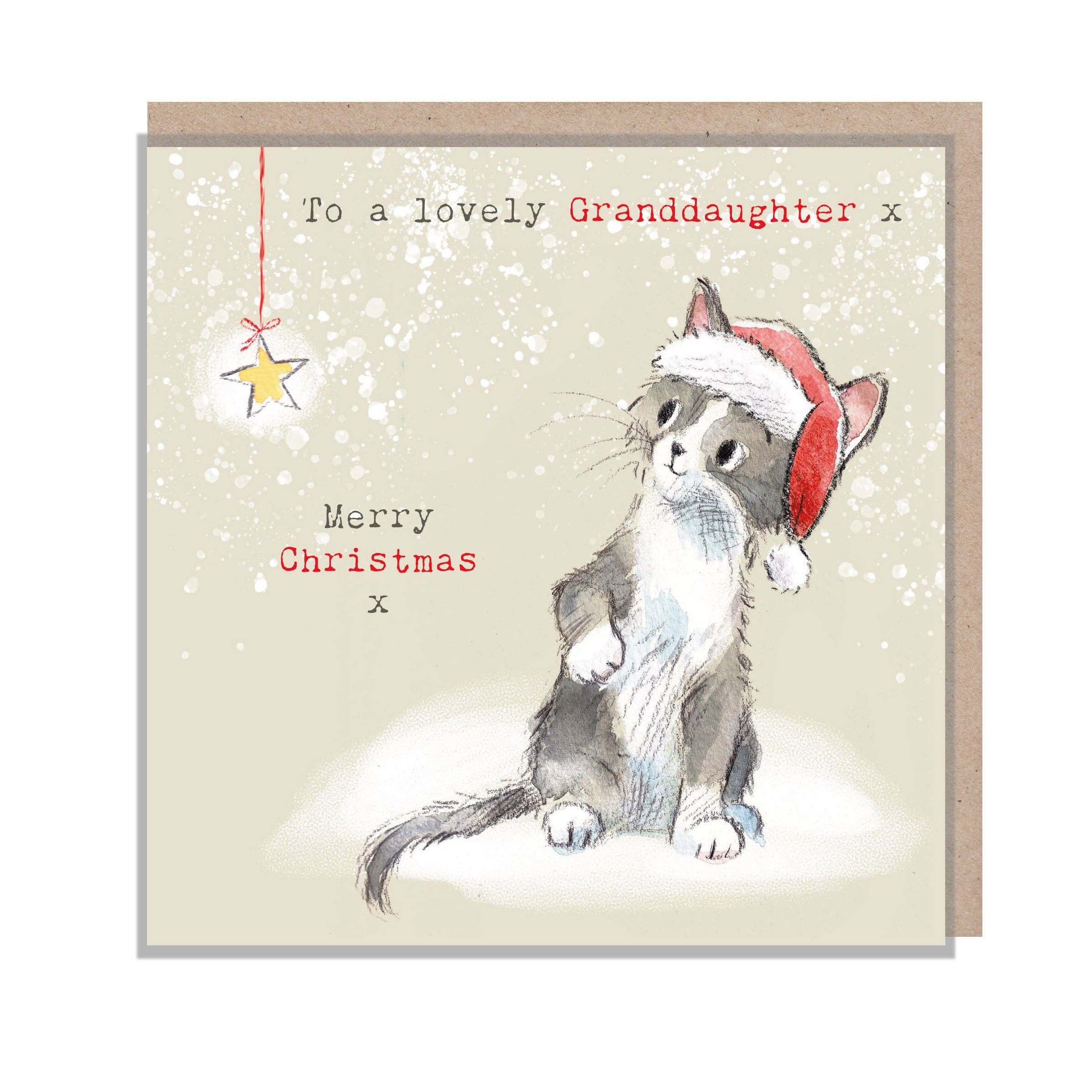 Granddaughter Christmas Card - Charming Cat illustration - 'Pawsitively Purrect' range  - Made in UK - XPP05
