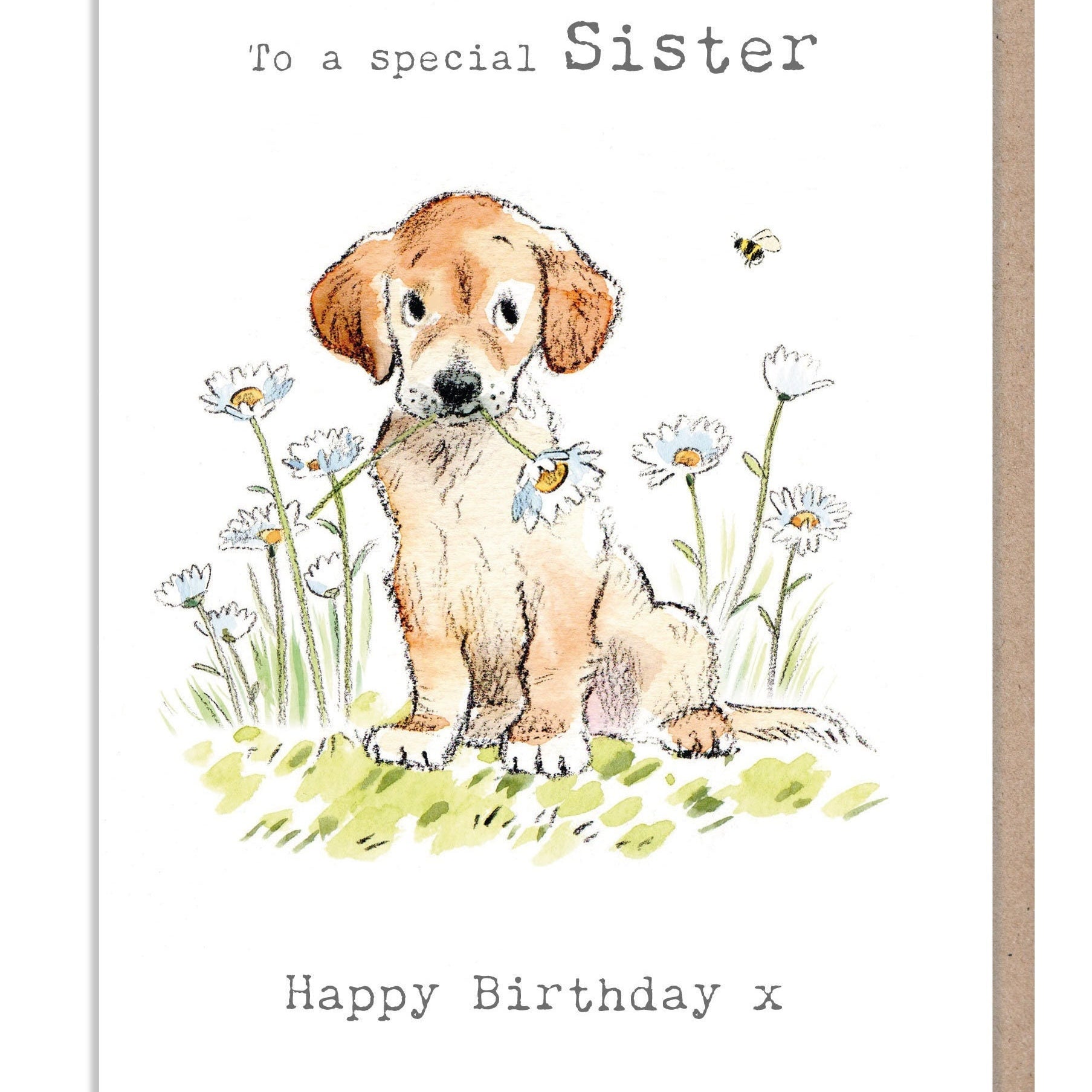 Sister Birthday Card - Golden Labrador with Daisies Illustrations ABE074