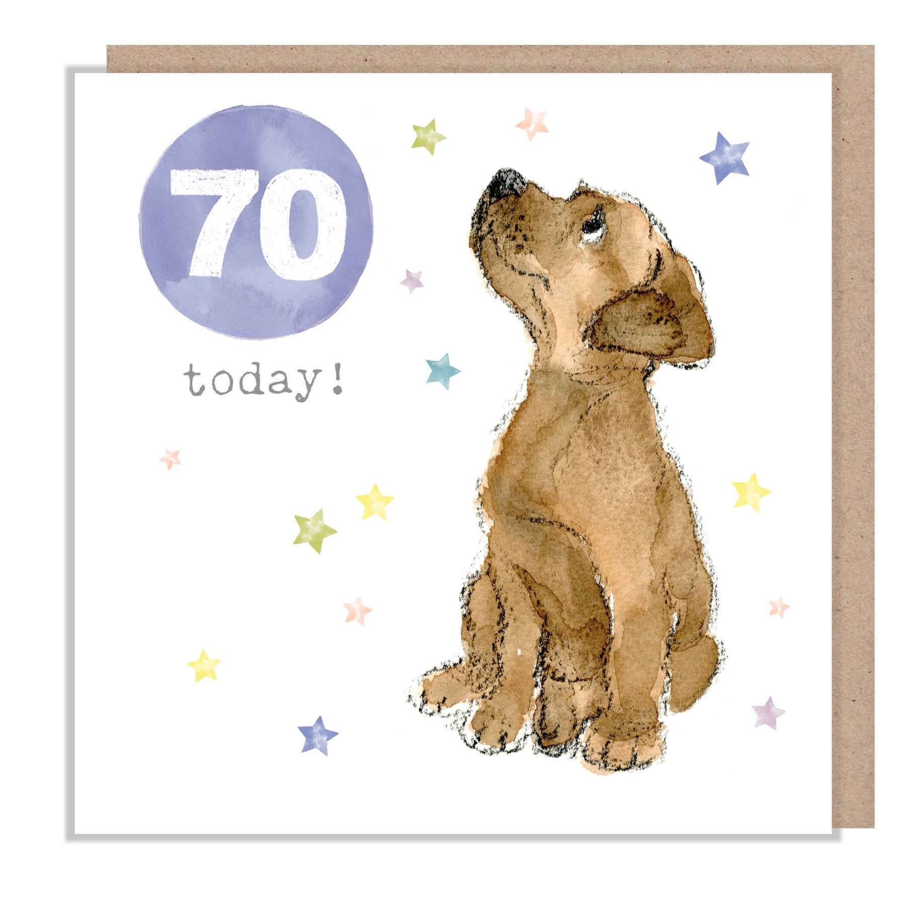 AGE 70 Birthday Card -  Charming illustration -  Brown Puppy - 'Party Time'  range - Made in UK -  PTAGE070