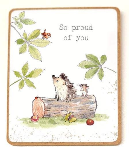 Quality Fridge Magnet - So proud of You -  Hedgehog design - MDF-  Made in the UK - FM012