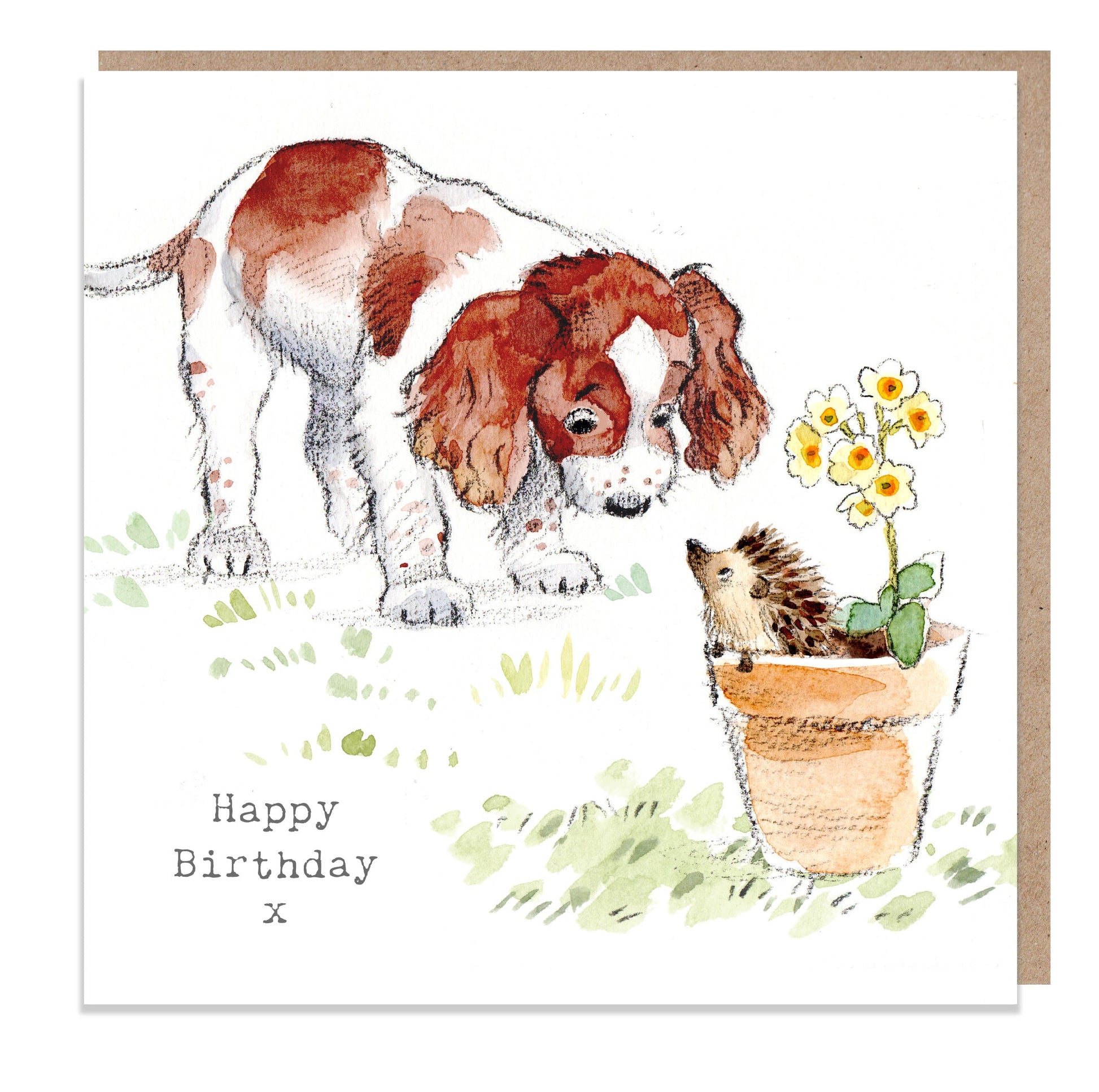 Dog Birthday Card - Quality Greeting Card - Charming illustration - 'Absolutely barking' range - Springer Spaniel- Made in UK -  ABE012