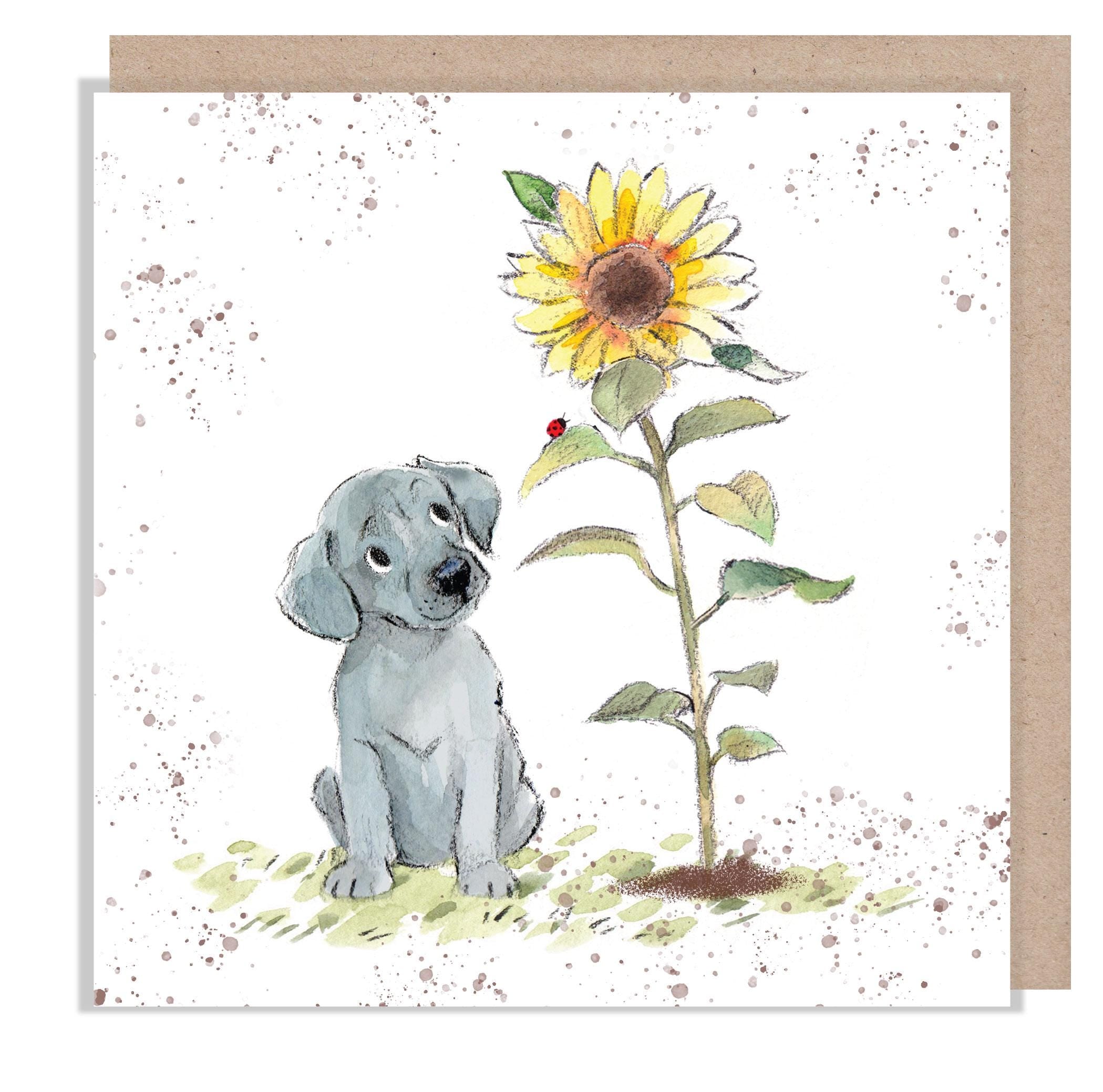 Blank Card - Quality Card - Charming Dog illustration - 'Absolutely barking' range - Grey Puppy with Sunflower - Made in UK -  ABE111