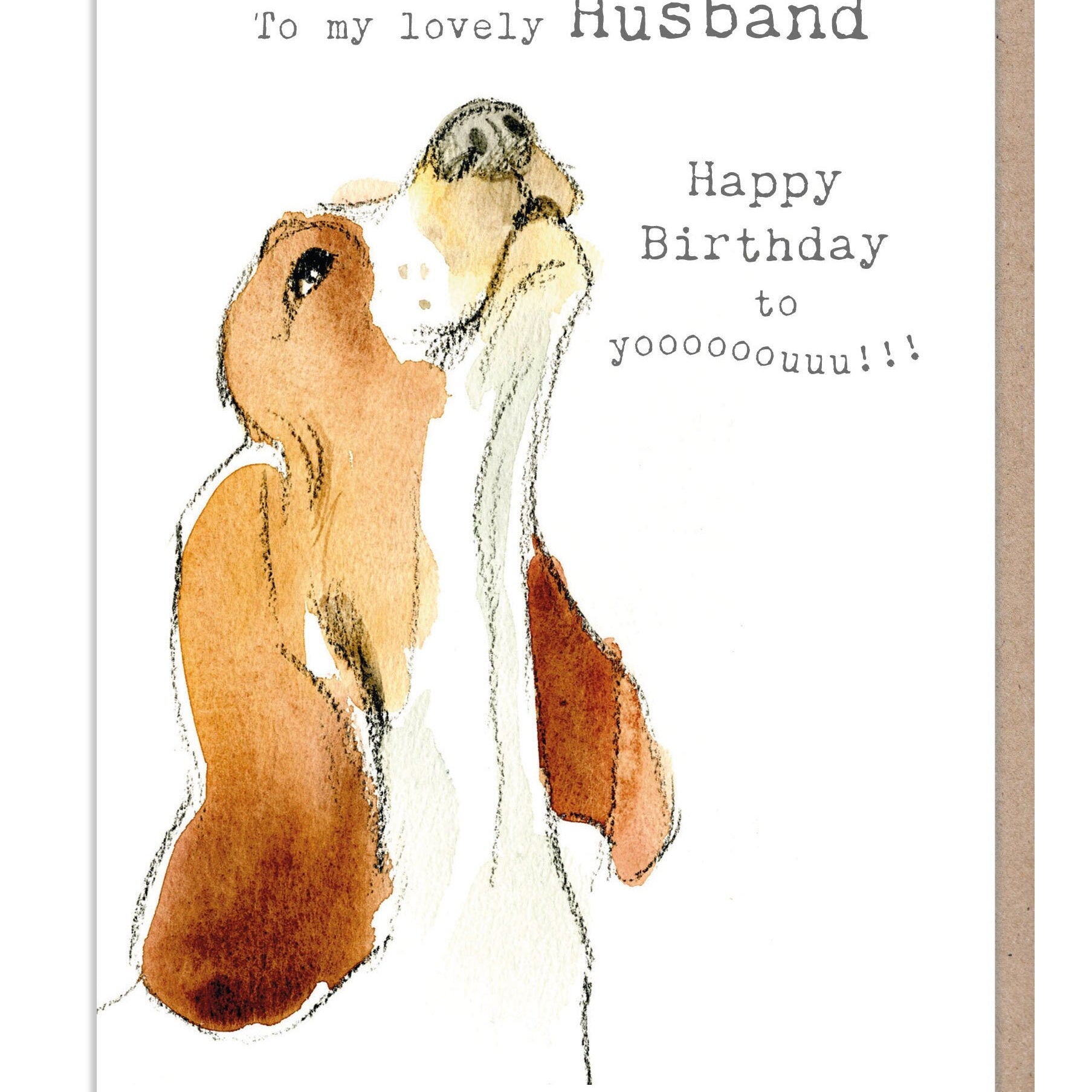 Husband Birthday Card - Basset hound Illustration - absolutely barking range - ABE076