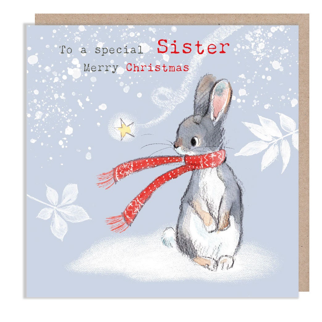 Special Sister - Quality Christmas Card - 150 x 150mm - Charming Rabbit illustration - 'Bucklebury wood' range- Made in UK -  BWX026