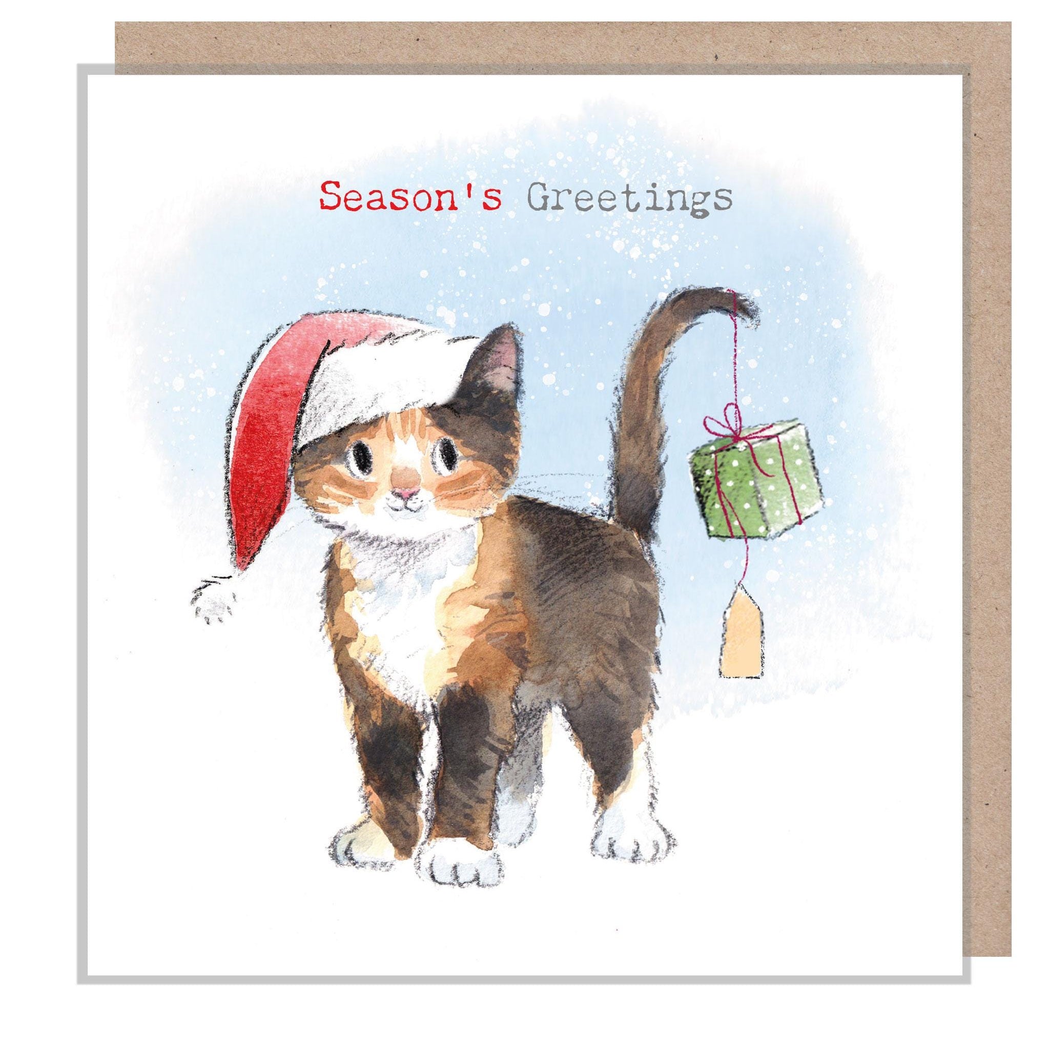 Quality Christmas Card - Seasons Greetings- Charming Cat illustration - 'Pawsitively Purrect' range - Made in UK - XPP016