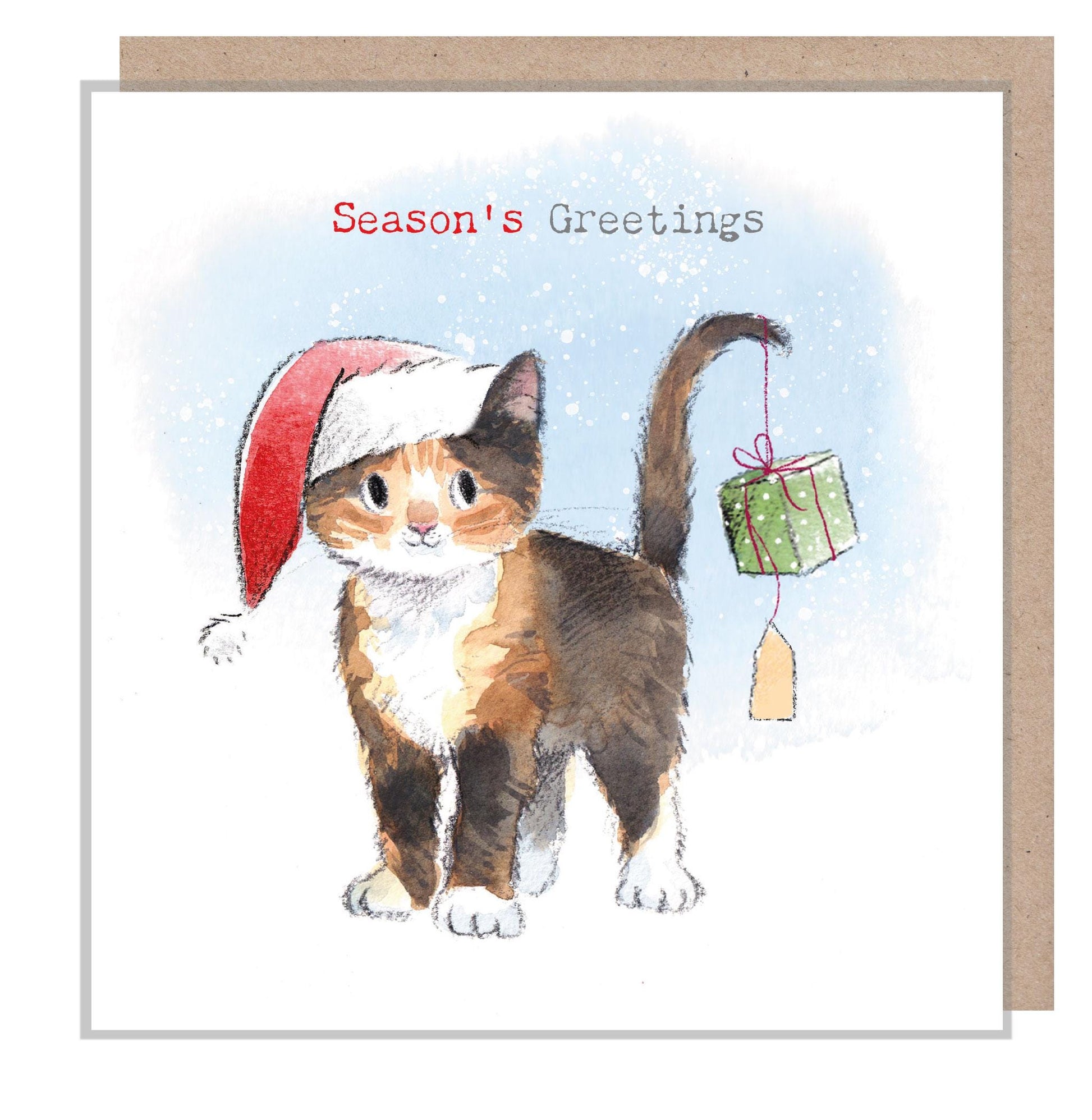 Quality Christmas Card - Seasons Greetings- Charming Cat illustration - 'Pawsitively Purrect' range - Made in UK - XPP016