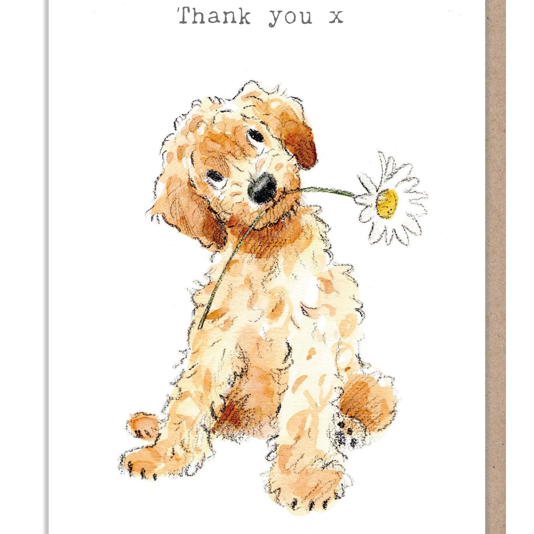 Thank You Card - Quality Greeting Card - Charming Dog illustration - 'Absolutely barking' range -  Cockapoo - Made in UK -  ABE014