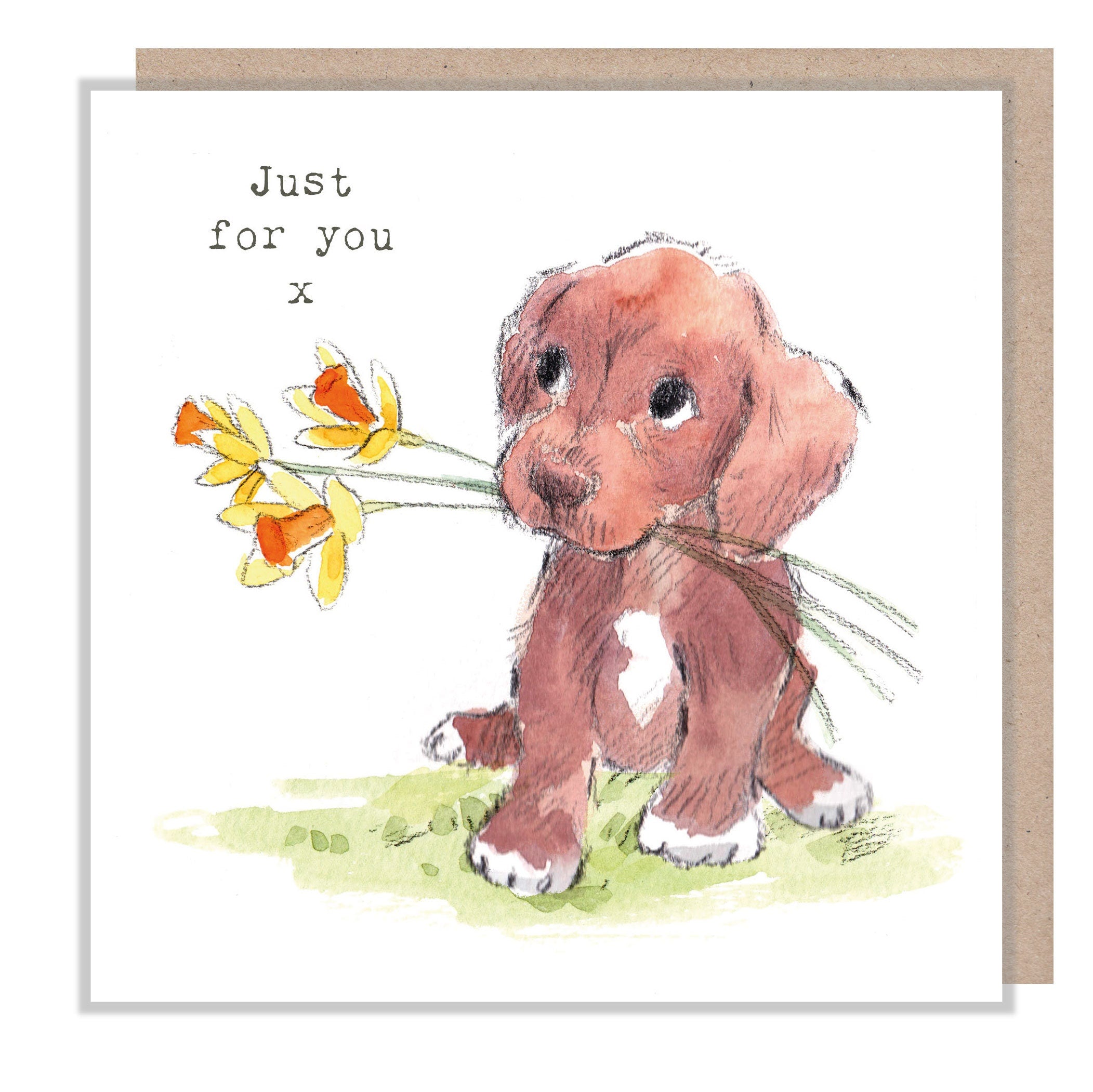 Just for you Card - Quality Greeting Card - Charming illustration - 'Absolutely barking' range - Brown Puppy - Made in UK -  ABE056