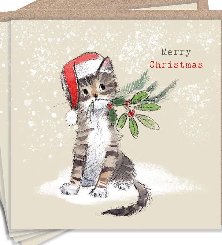 Christmas Card pack - 5 small quality cards with brown recycled envelopes -125 x 125mm-  one design - Cute tabby Kitten -  XPACK08