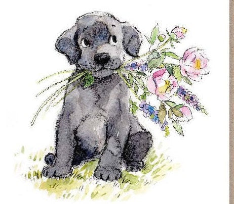 Notecard pack - 5 small quality cards with brown recycled envelopes (125 x 125mm)