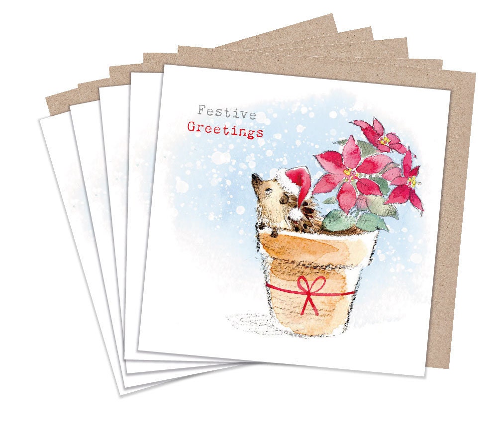 Christmas Card pack - 5 small quality cards with brown recycled envelopes -125 x 125mm-  one design - Cute Hedgehog -  XPACK05