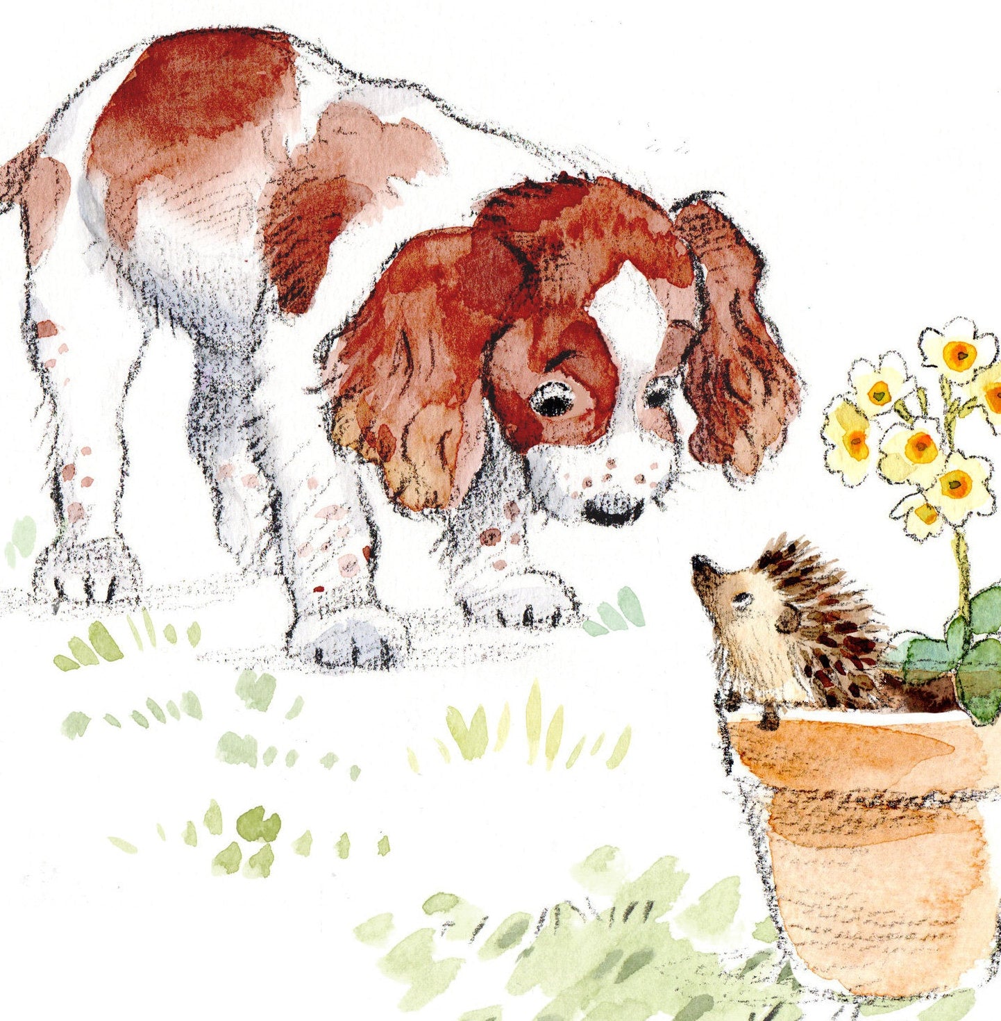 Springer Spaniel Greeting Card: Charming Dog Illustration