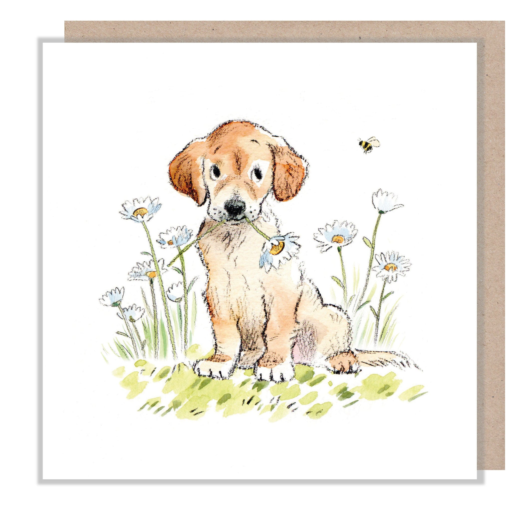 Blank Card - Quality Greeting Card - Charming Dog illustration - 'Absolutely barking' range - Golden Retriever - Made in UK -  ABE066