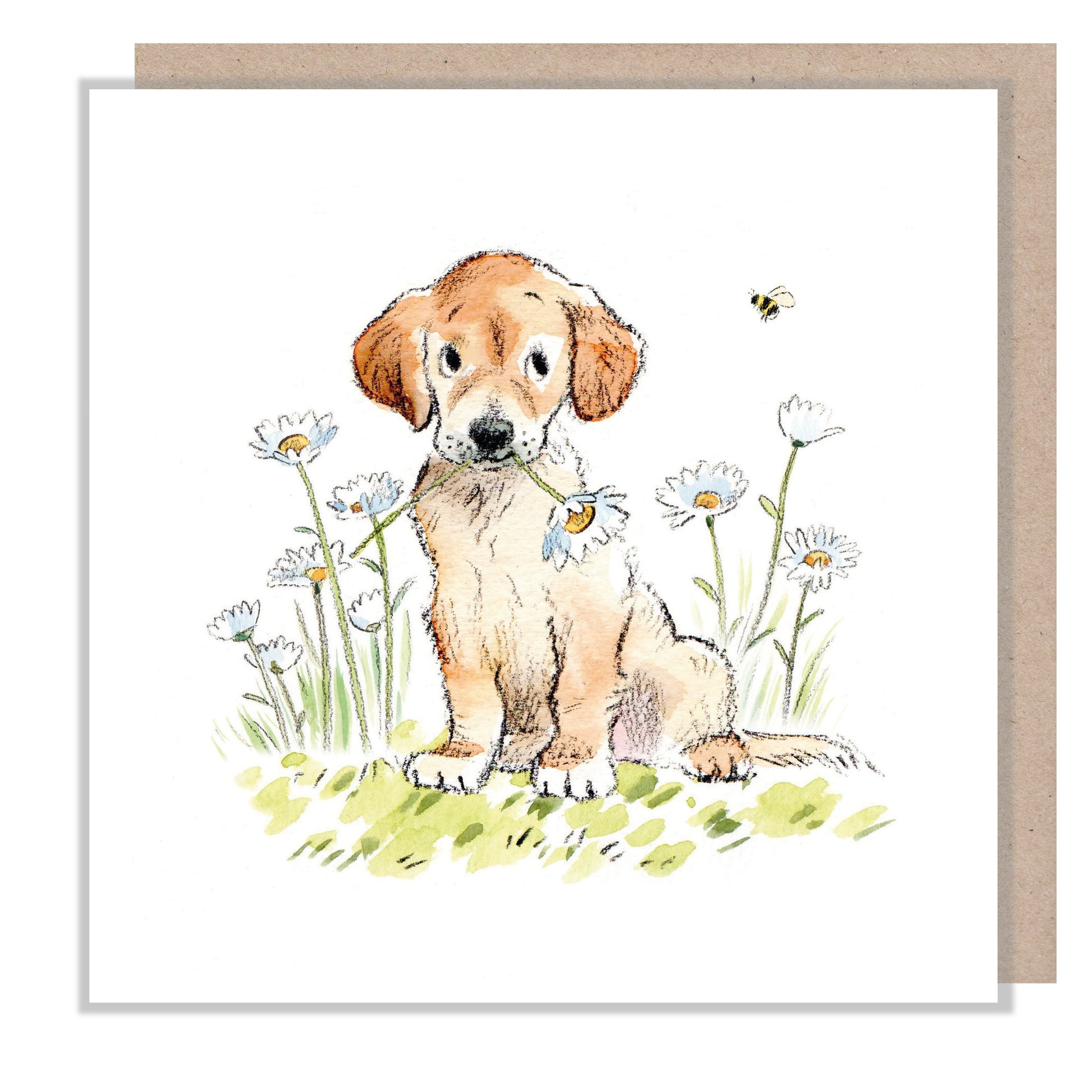 Blank Card - Quality Greeting Card - Charming Dog illustration - 'Absolutely barking' range - Golden Retriever - Made in UK -  ABE066