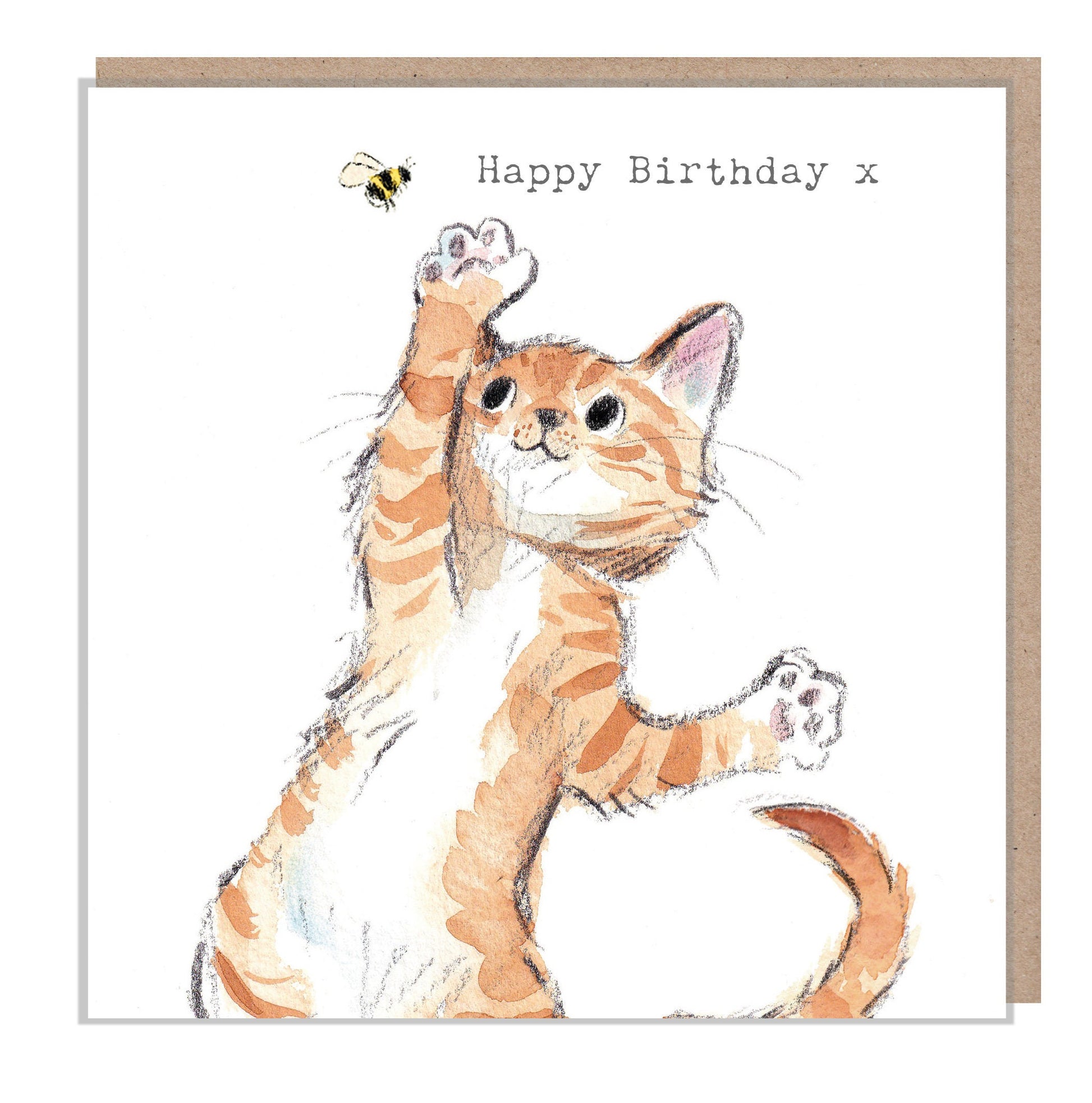 Cat Birthday Card - Quality Greeting Card - Charming illustration - 'Pawsitively Purrect' range - Cat with Bee - Made in UK - EPP04