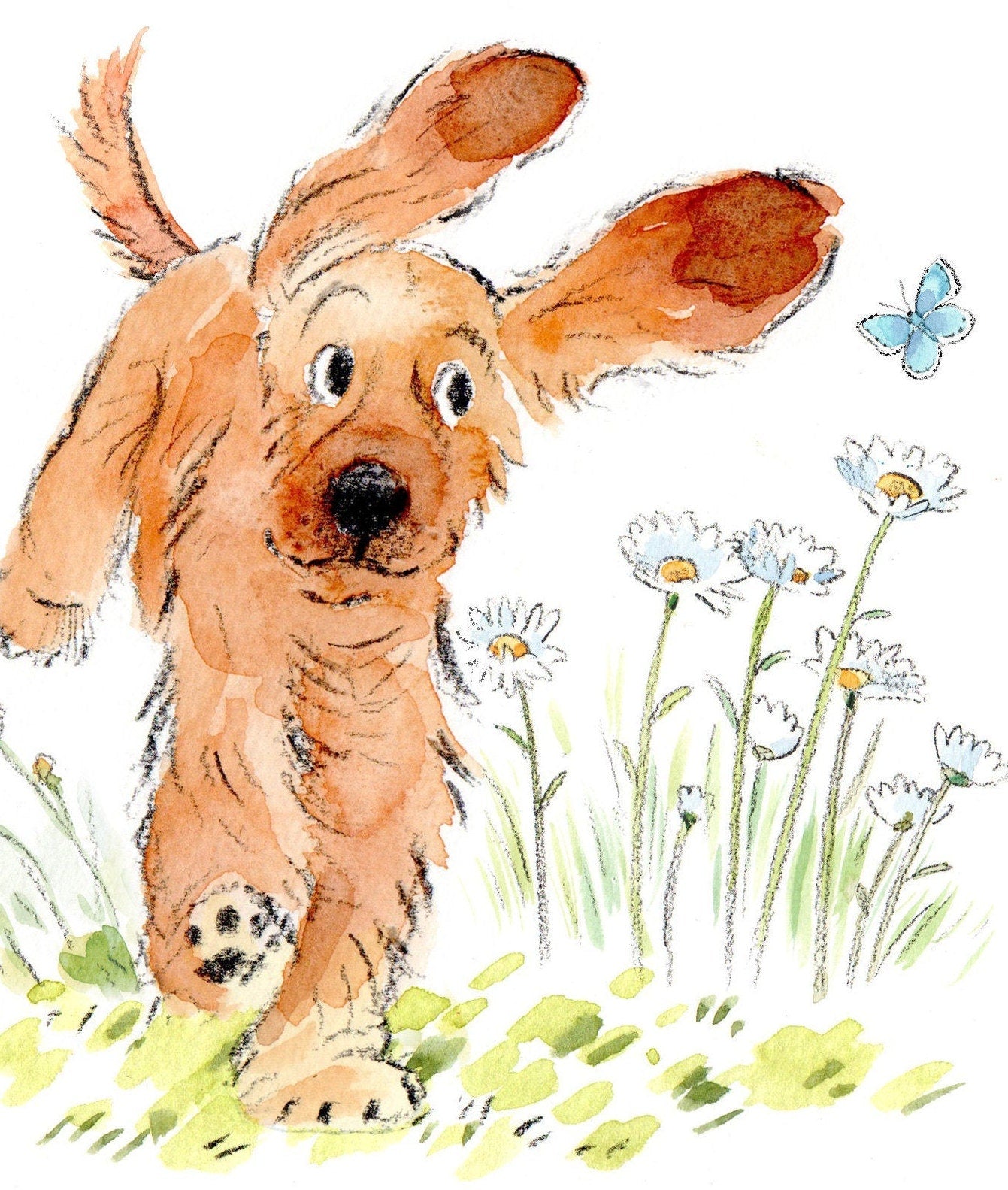 Blank Card - Quality Greeting Card - Charming Dog illustration - 'Absolutely barking' range - Cocker Spaniel - Made in UK - ABE031