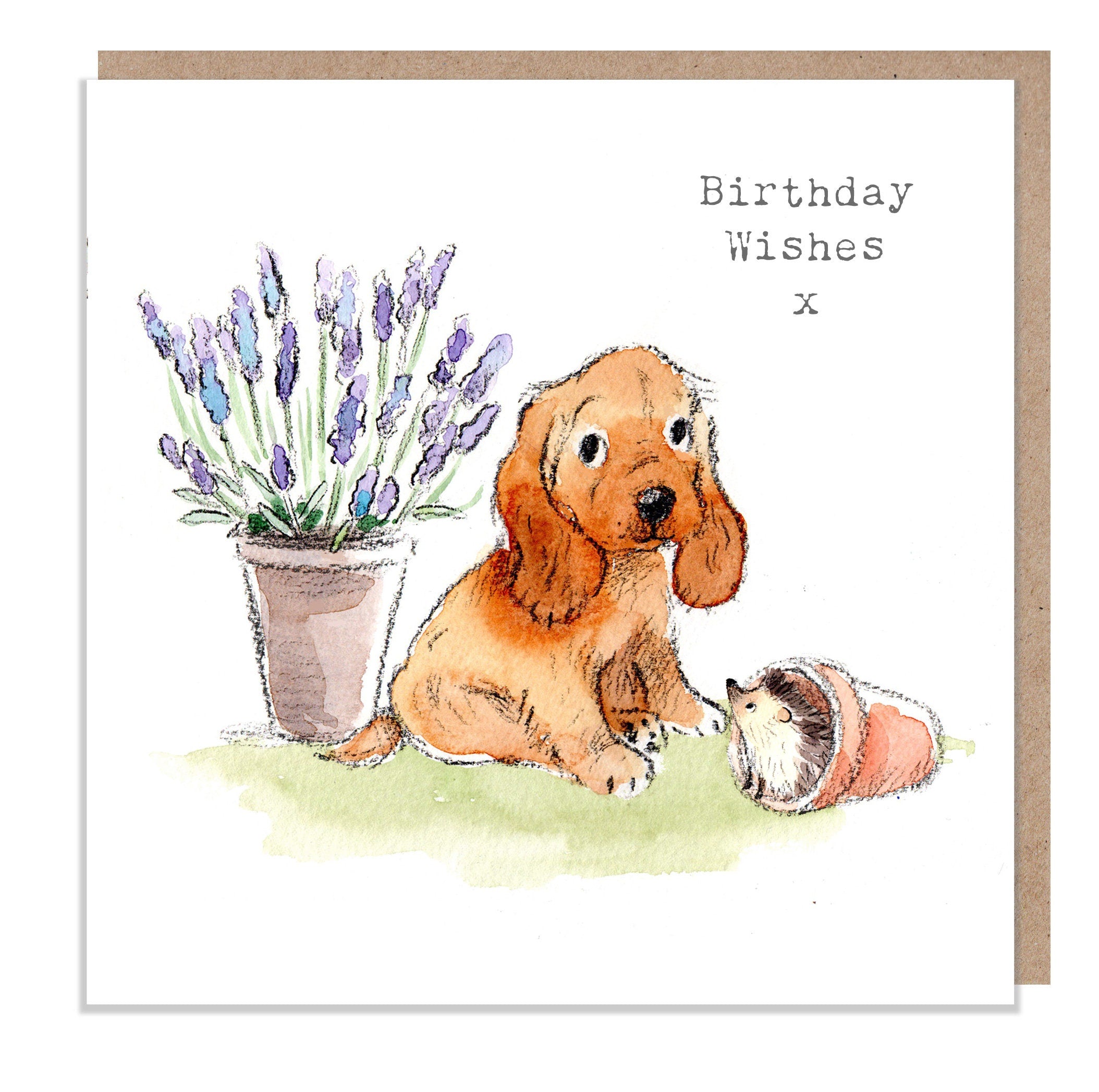 Dog Birthday Card - Quality Greeting Card - Charming illustration - 'Absolutely barking' range - Cocker spaniel- Made in UK -  ABE040