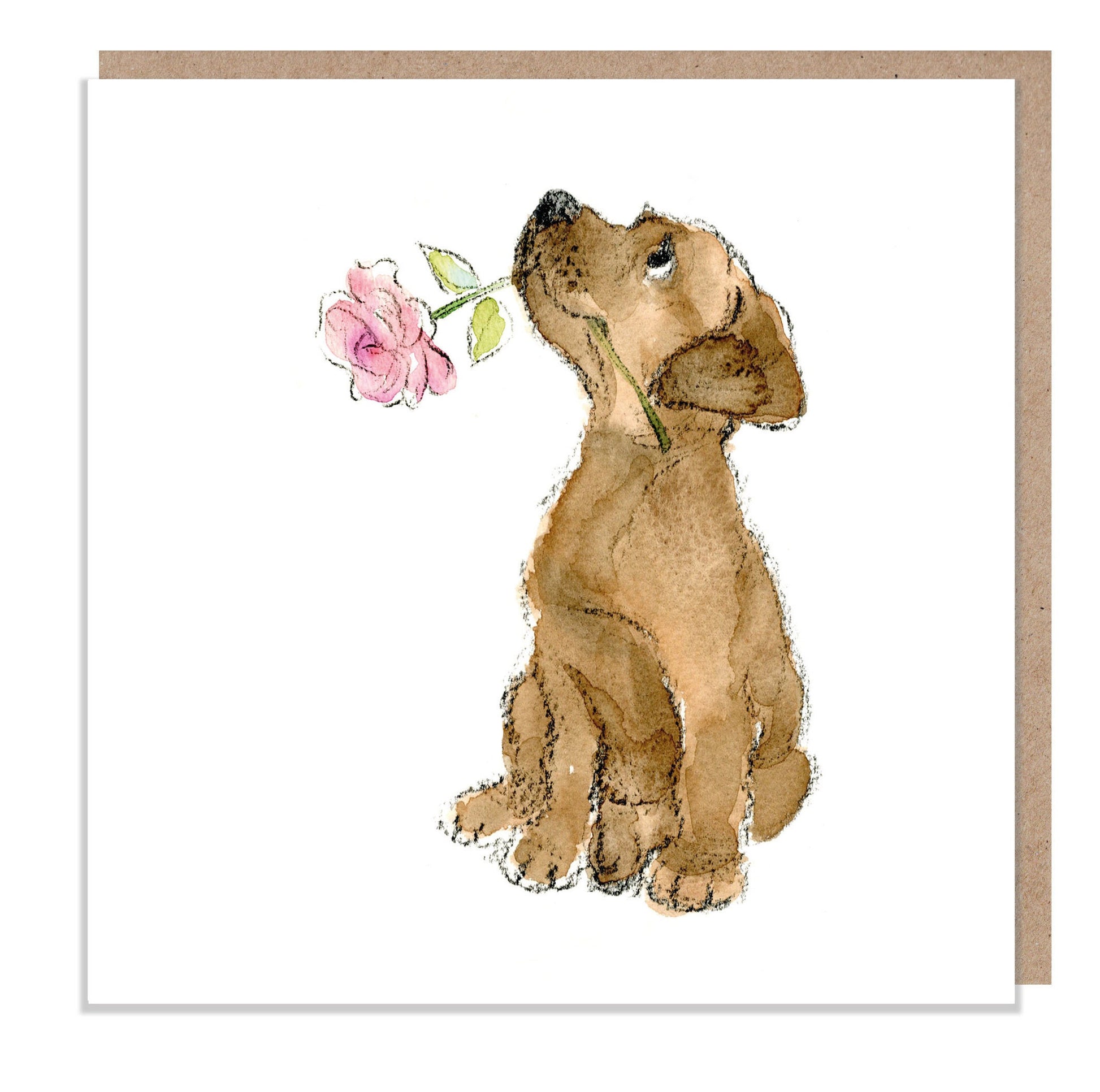Blank Card - Quality Greeting Card - Charming illustration -Cute dog- 'Absolutely barking' range - Chocolate Labrador - Made in UK -  ABE048