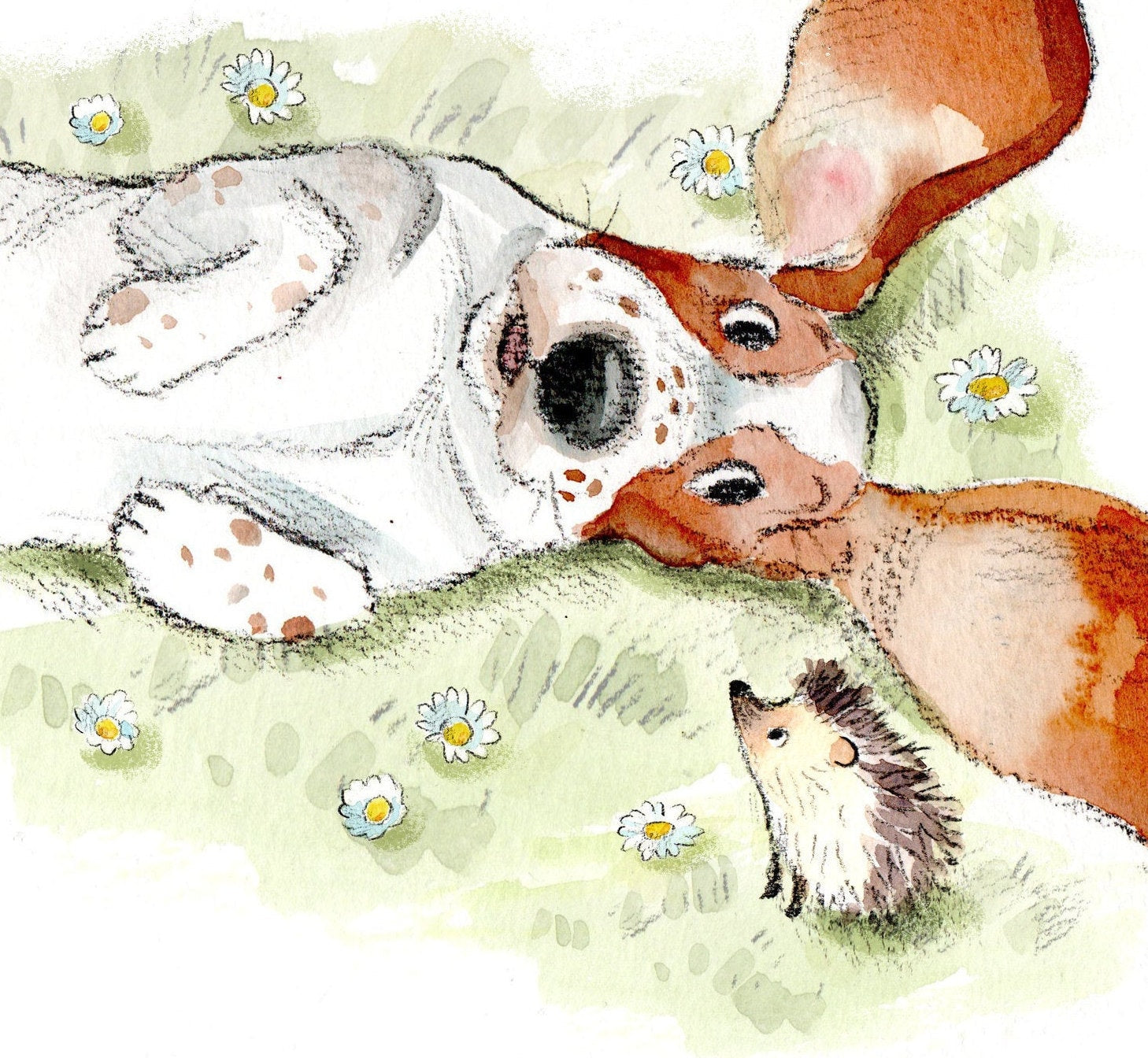 Birthday Card - Charming Dog illustration - 'Absolutely barking' range -Basset Hound and Hedgehog - Made in UK - ABE098